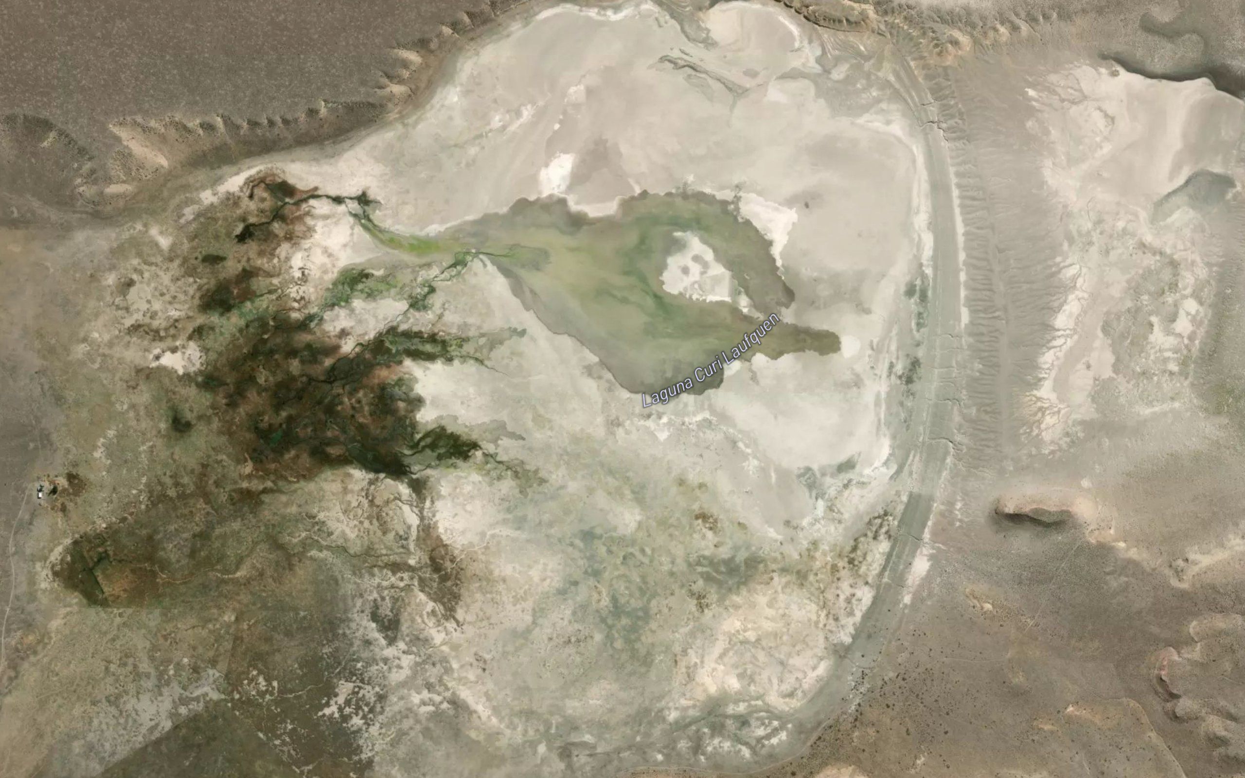Laguna Cari-Laufquen
