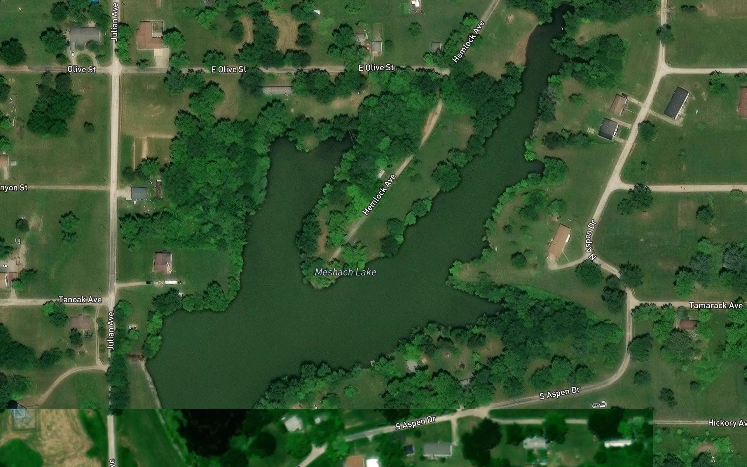 Meshach Lake