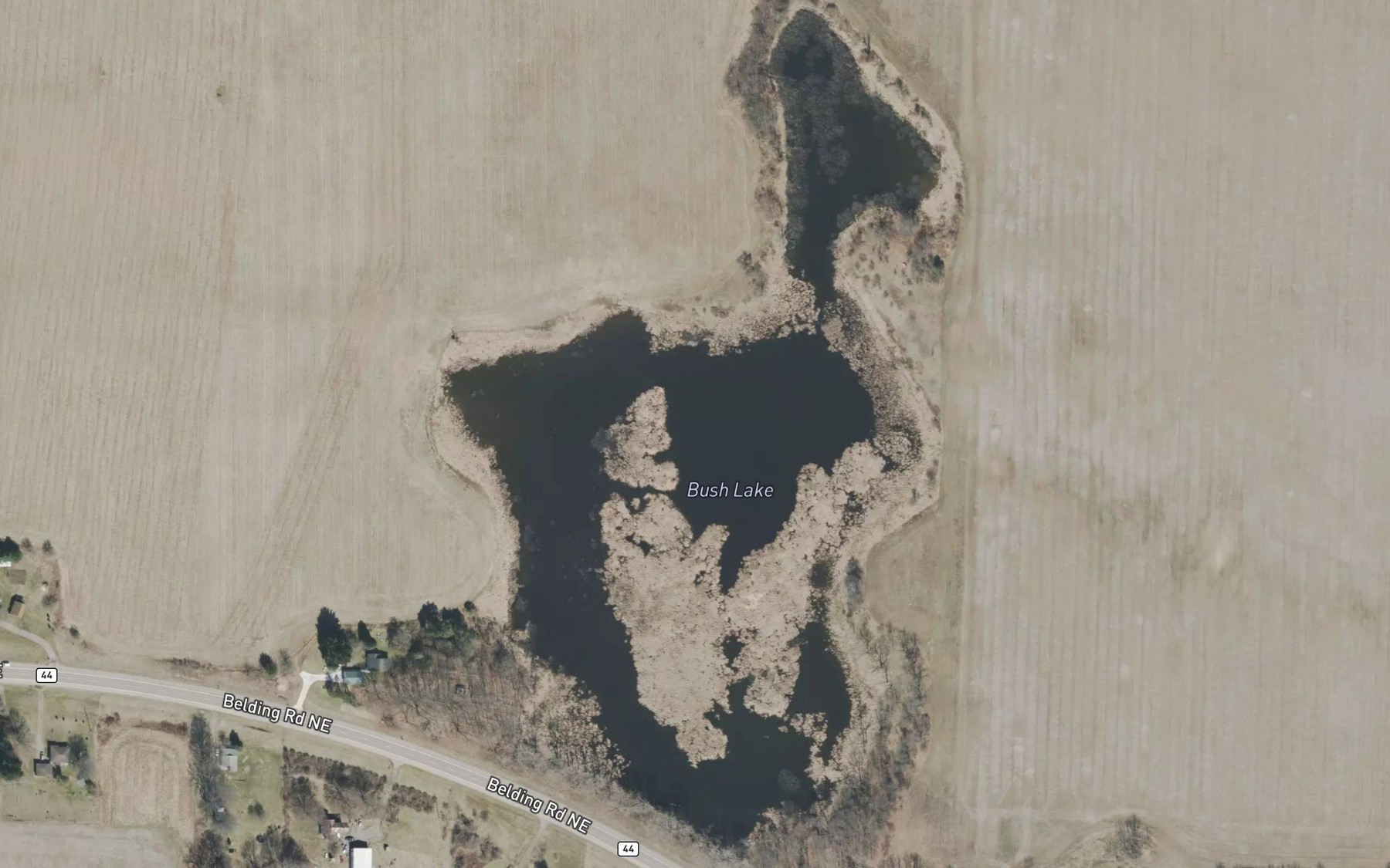 Satellite map of the Bush Lake