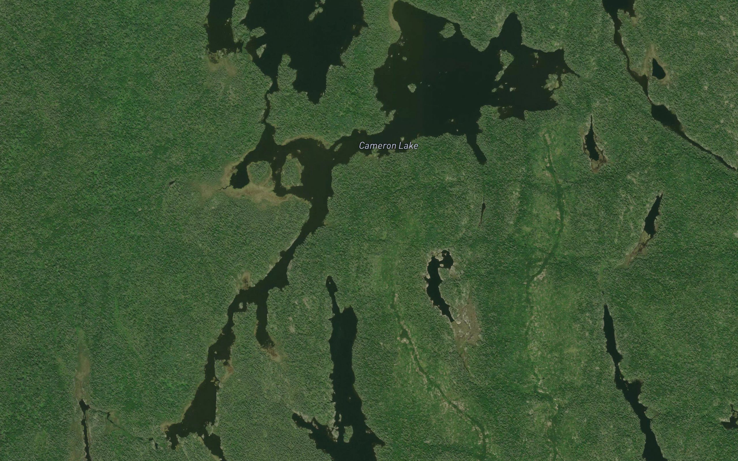 Cameron Lake