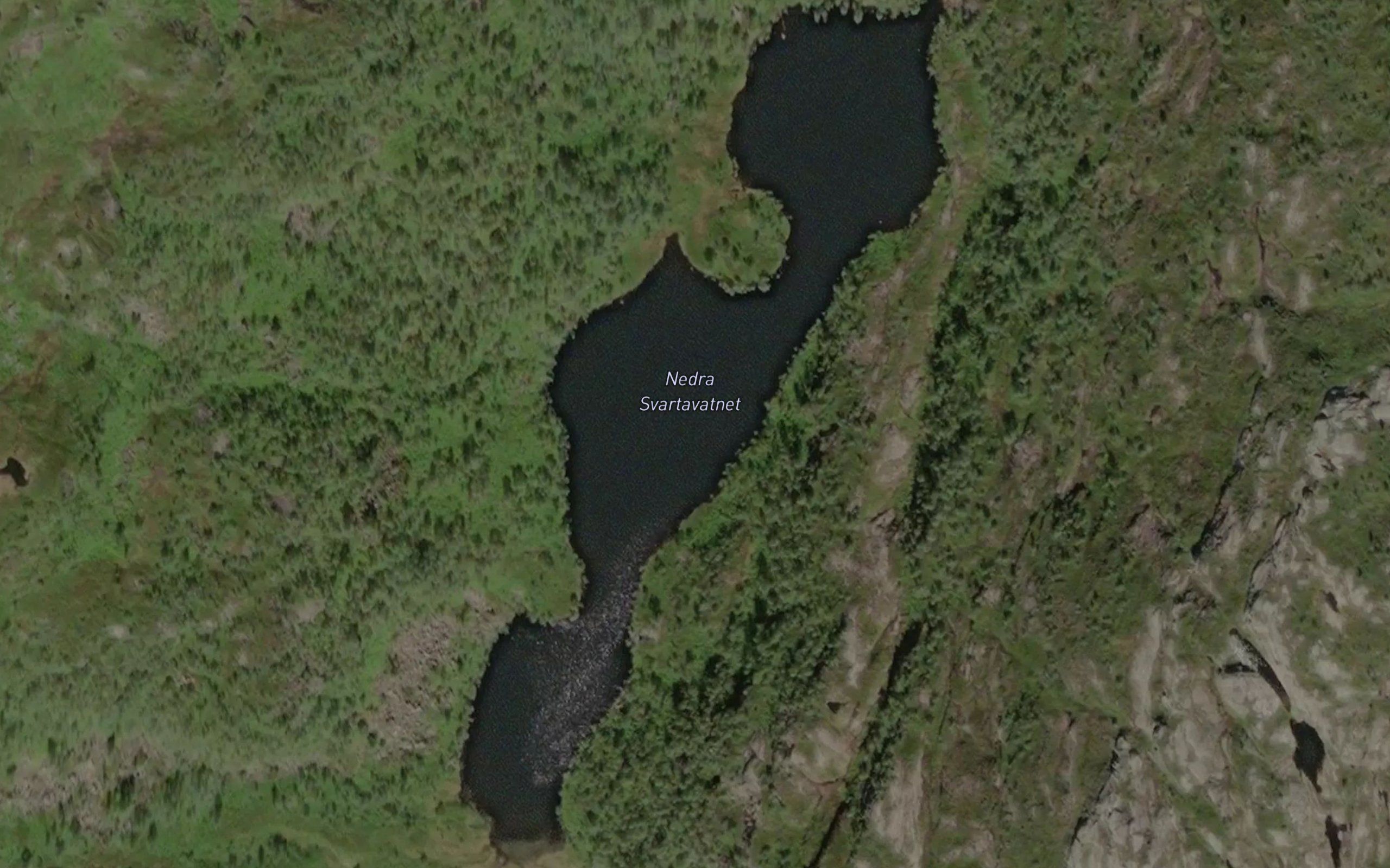 Svartavatnet,nedre