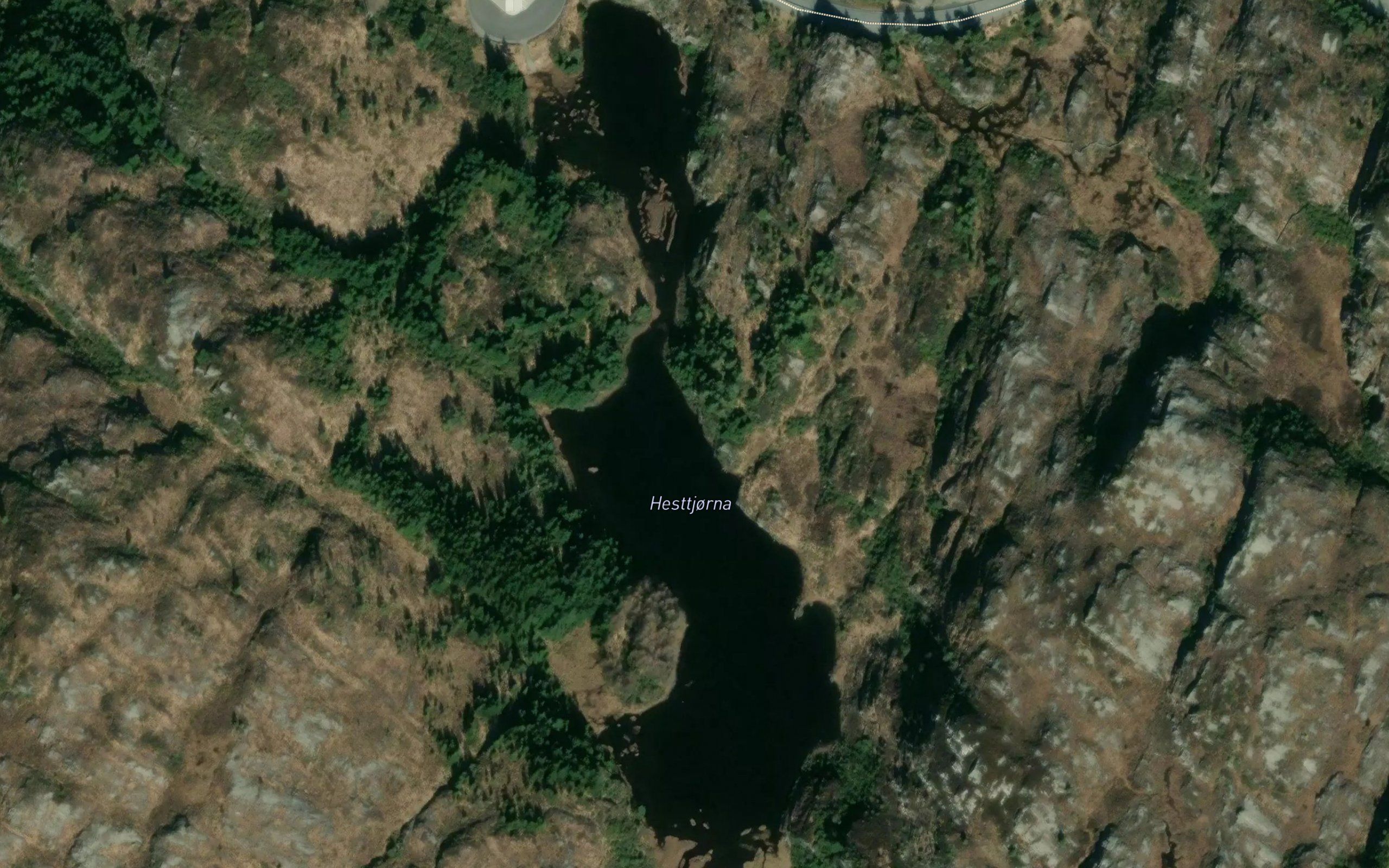 Hesttjorna