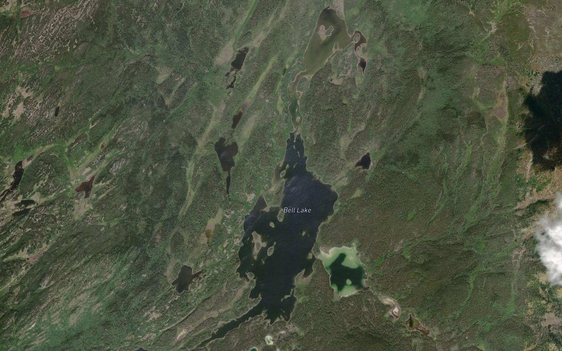 Satellite map of the Bell Lake