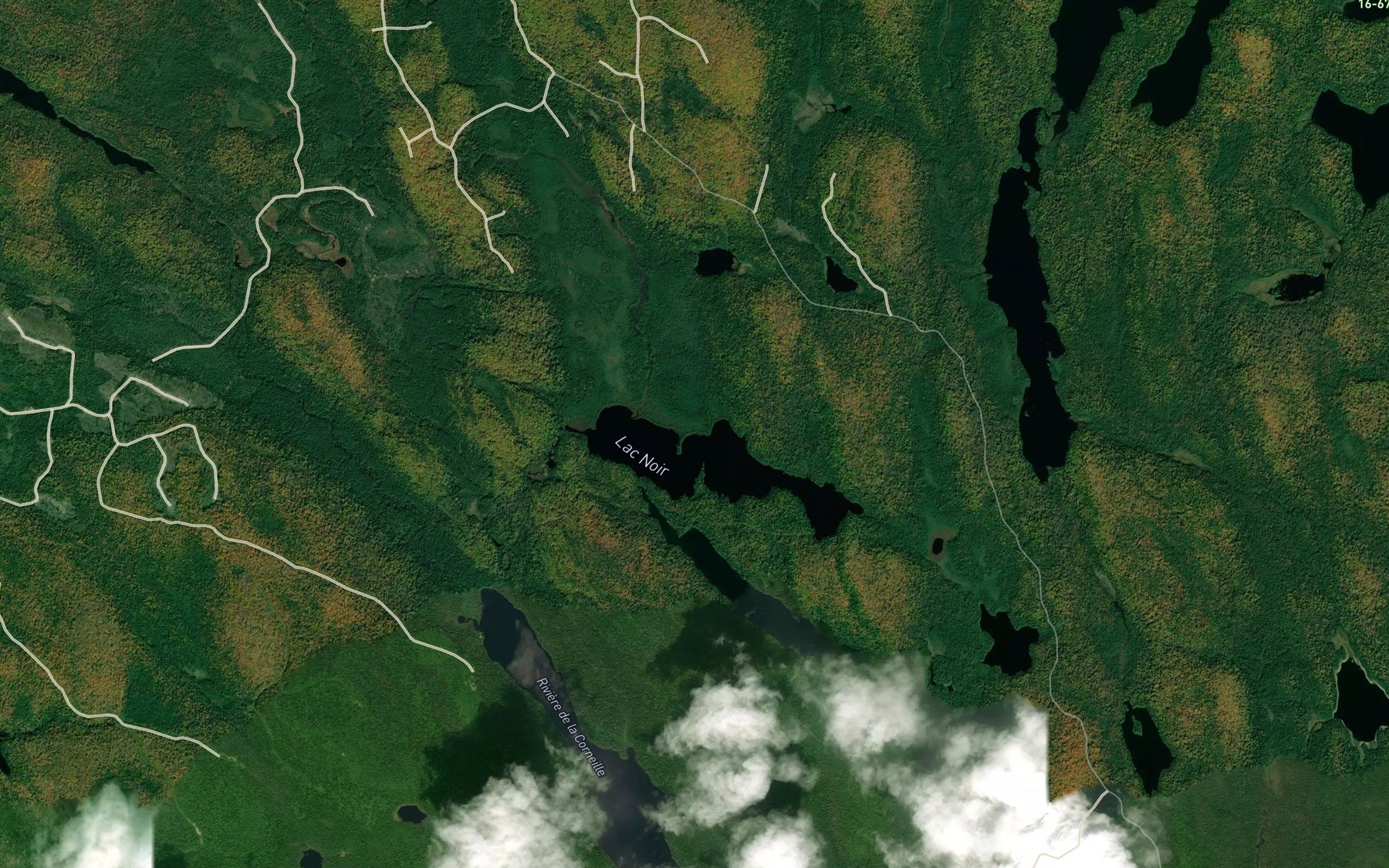 Satellite map of the Lac Noir