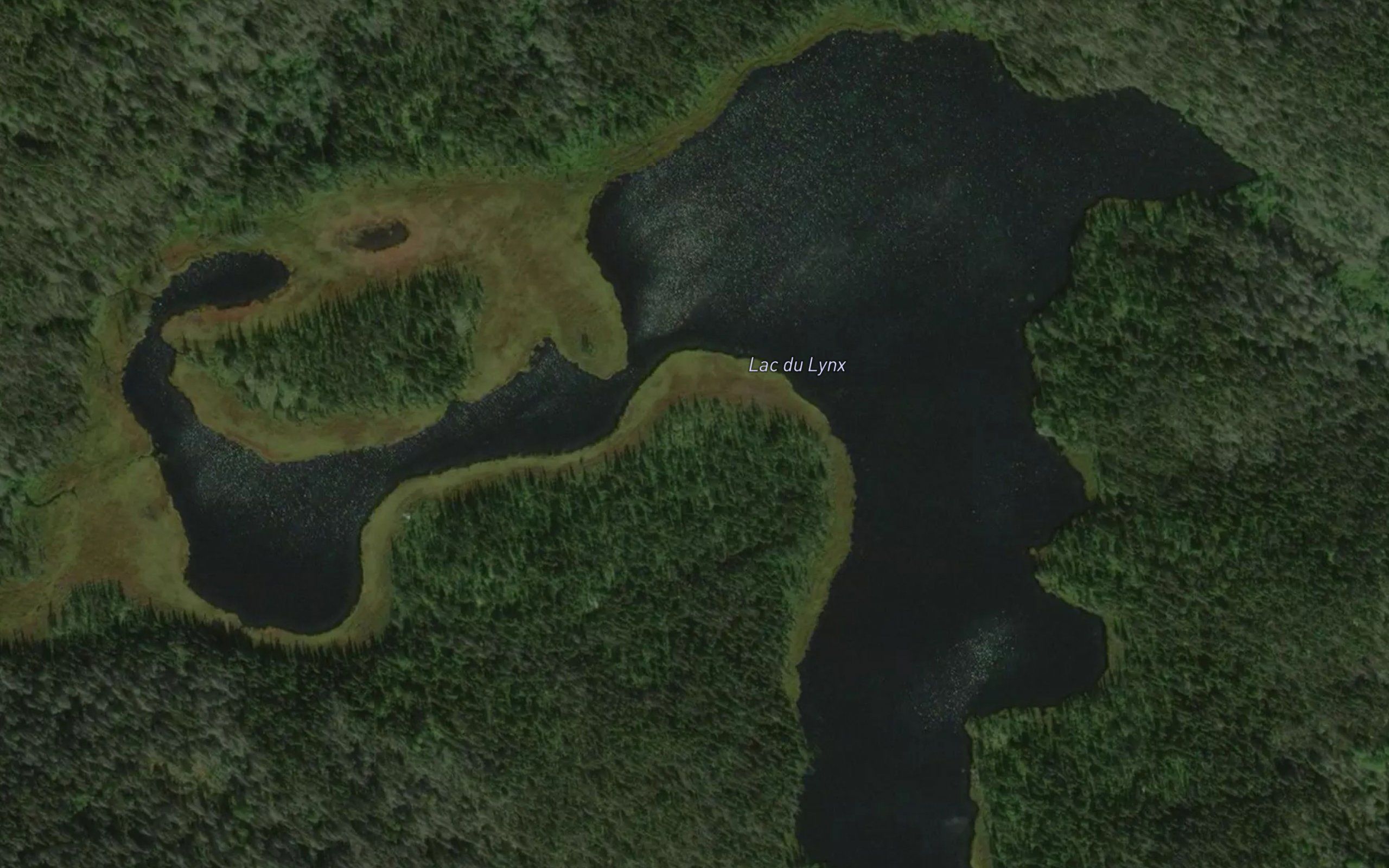 Lac du Lynx