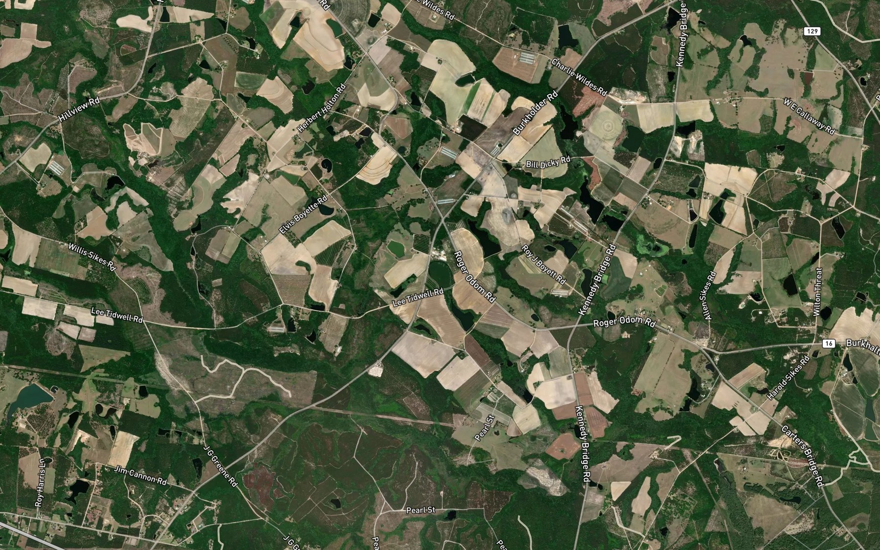 Satellite map of the Calloway Lake