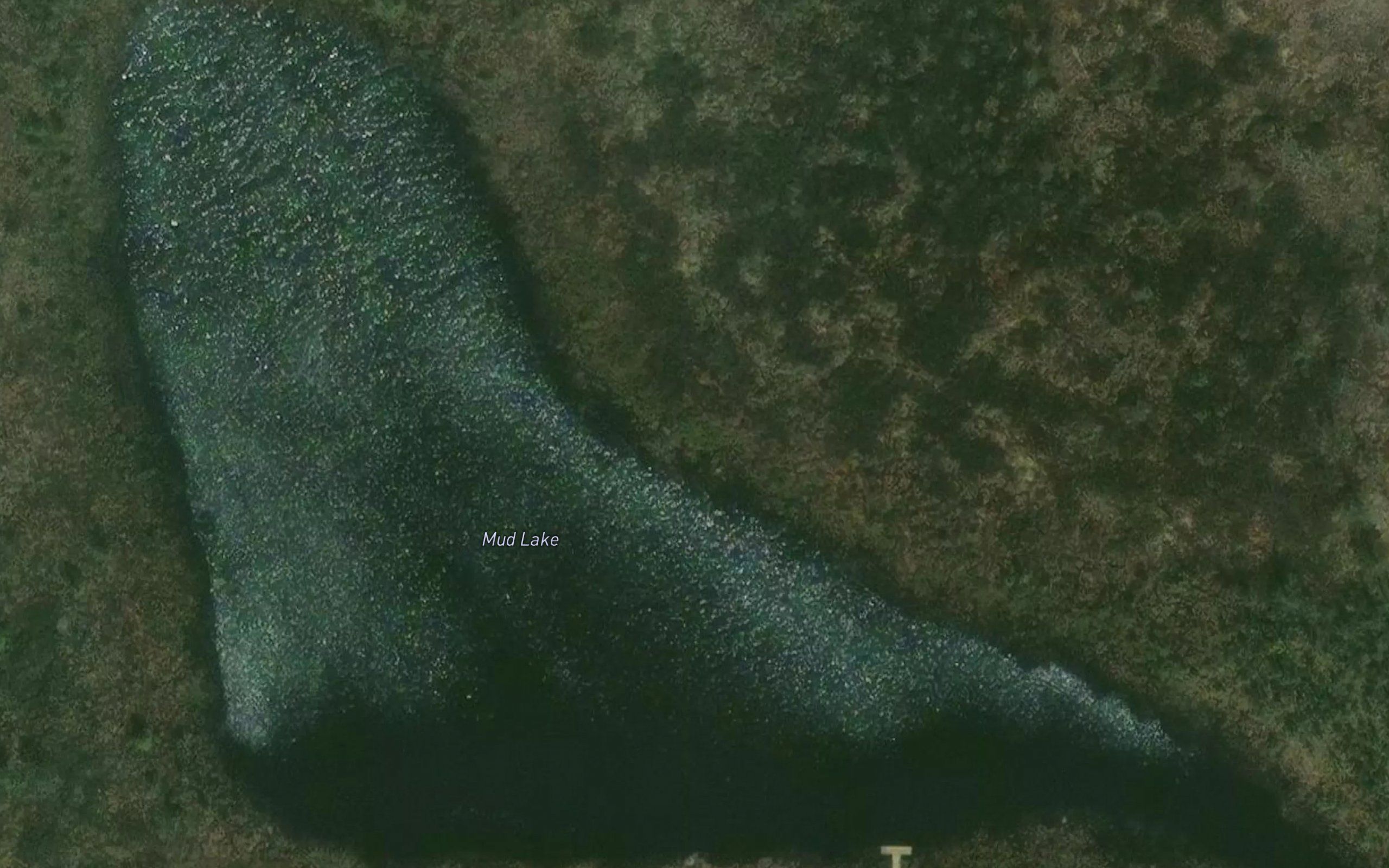 Mud Lake