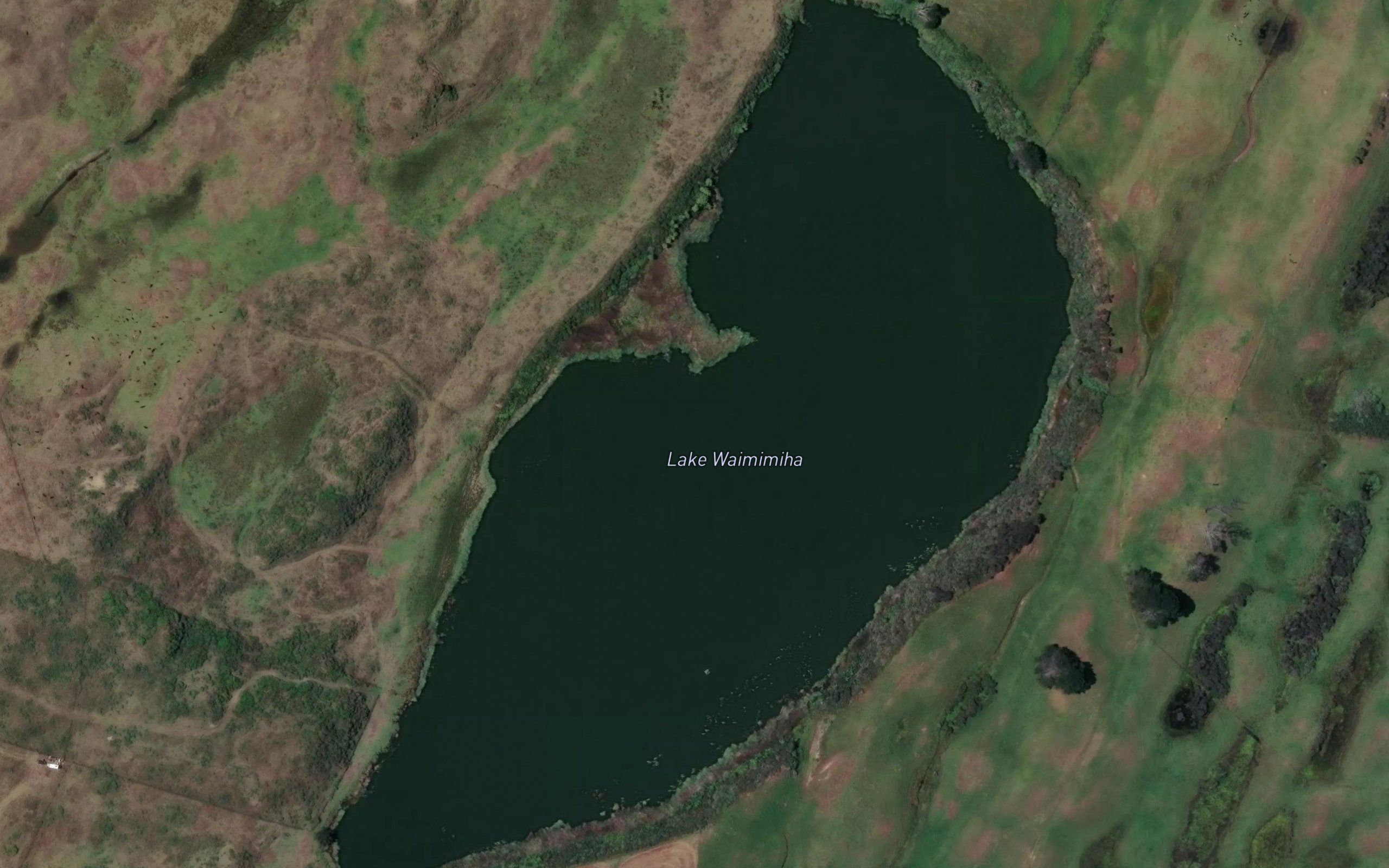 Lake Waimimiha