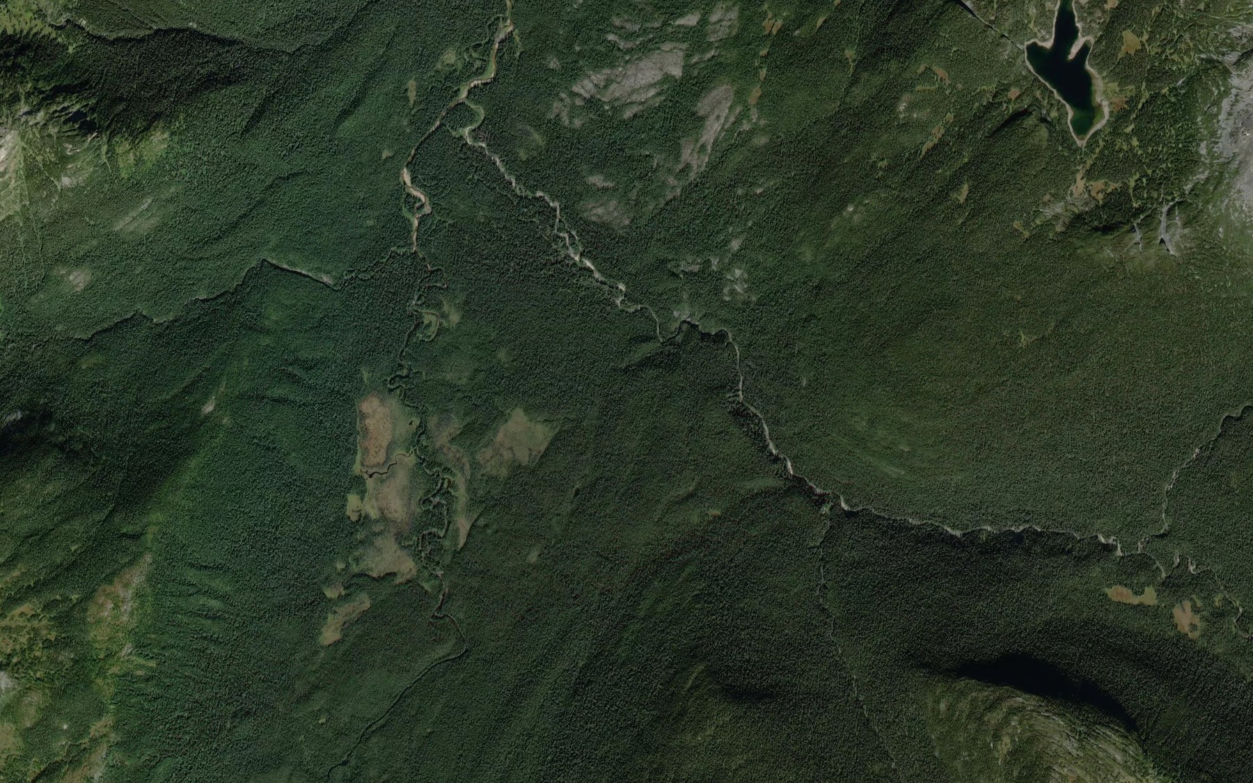 Satellite map of the Leyland Creek