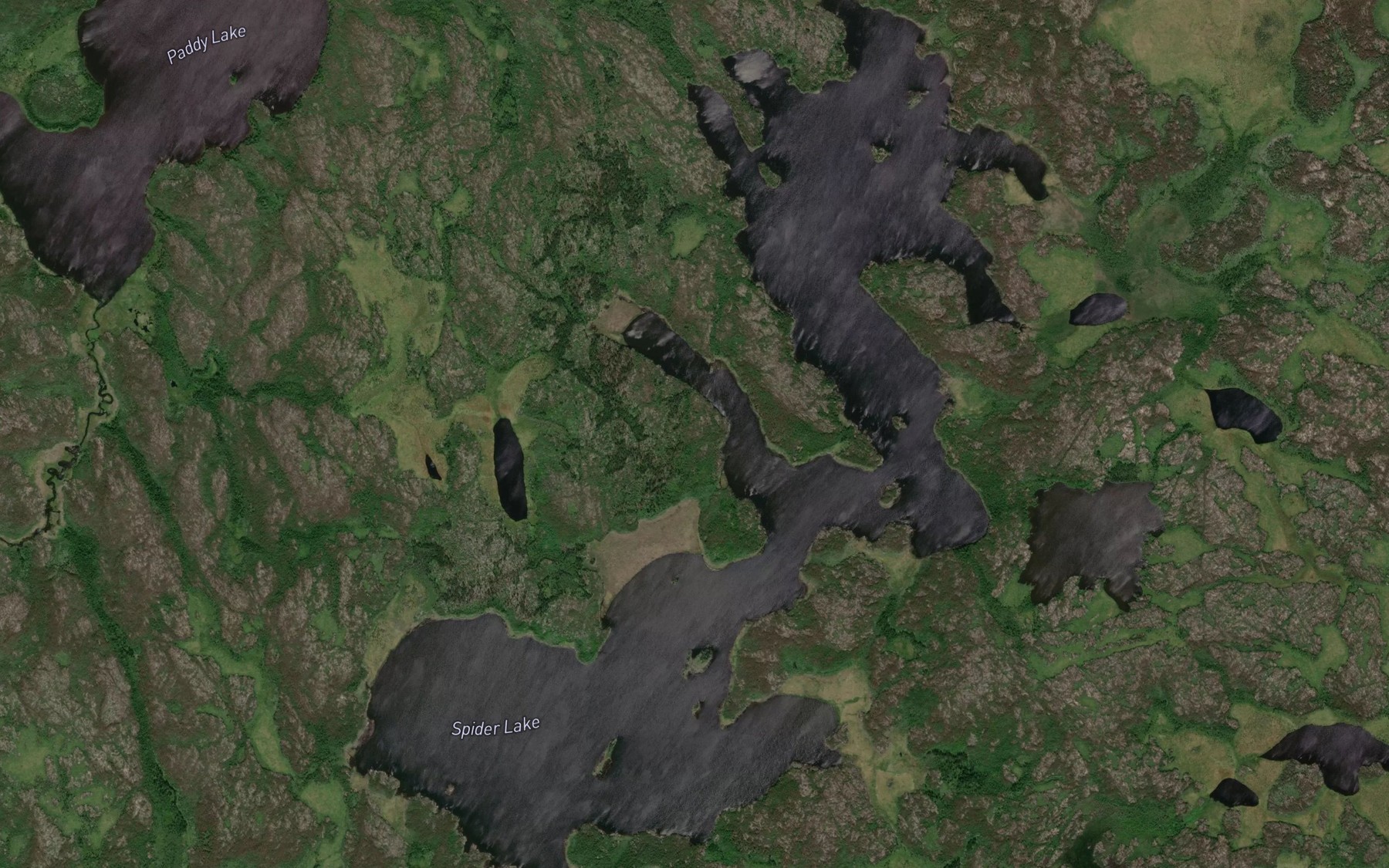 Satellite map of the Spider Lake