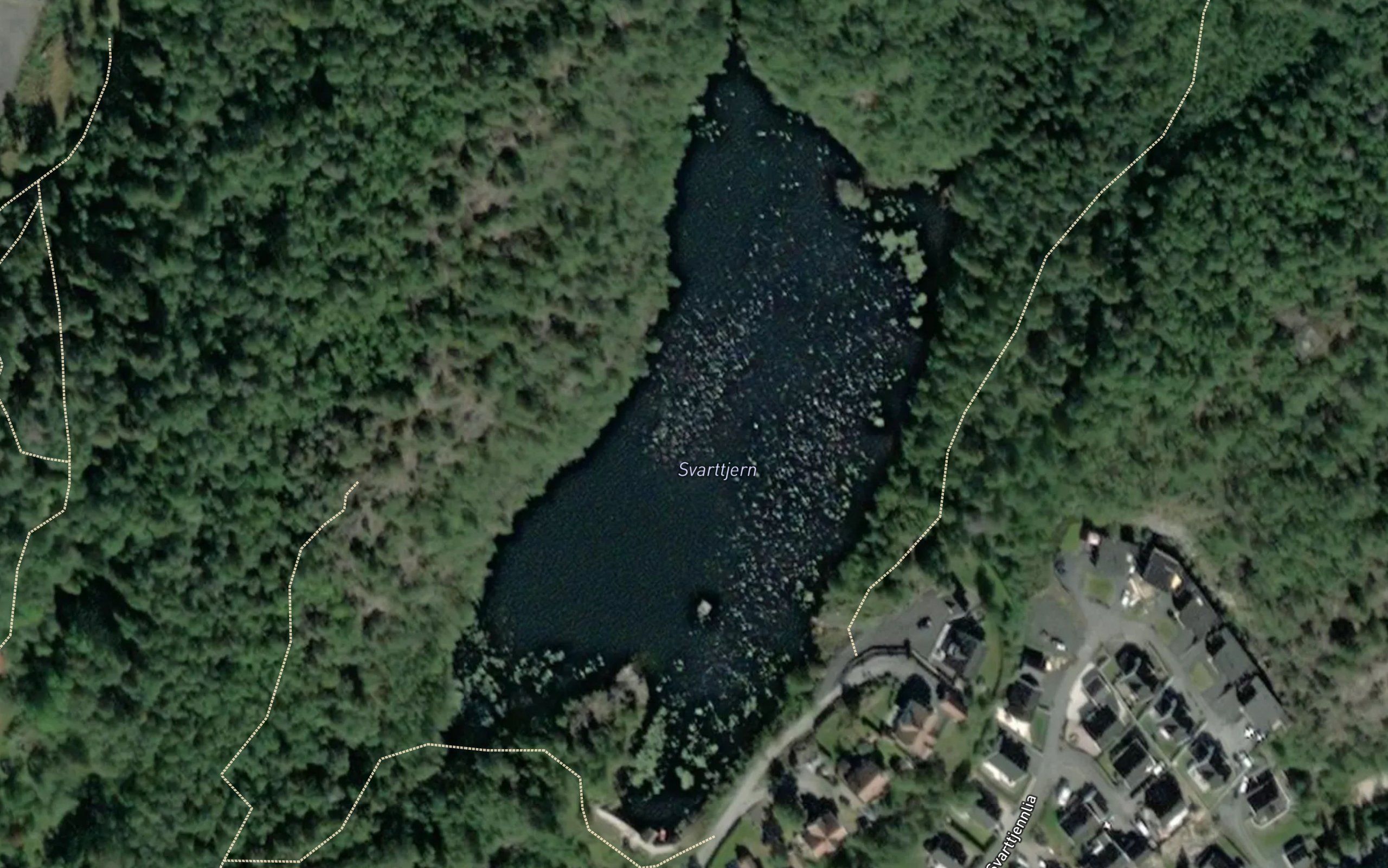 Svarttjern