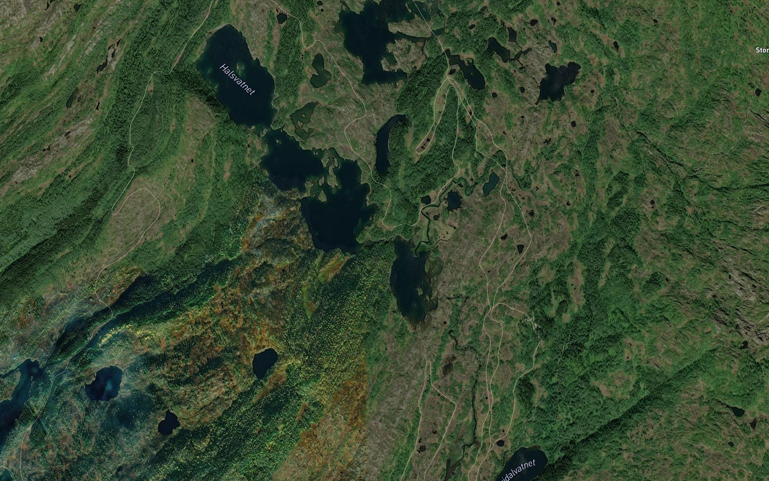 Halsvasselva