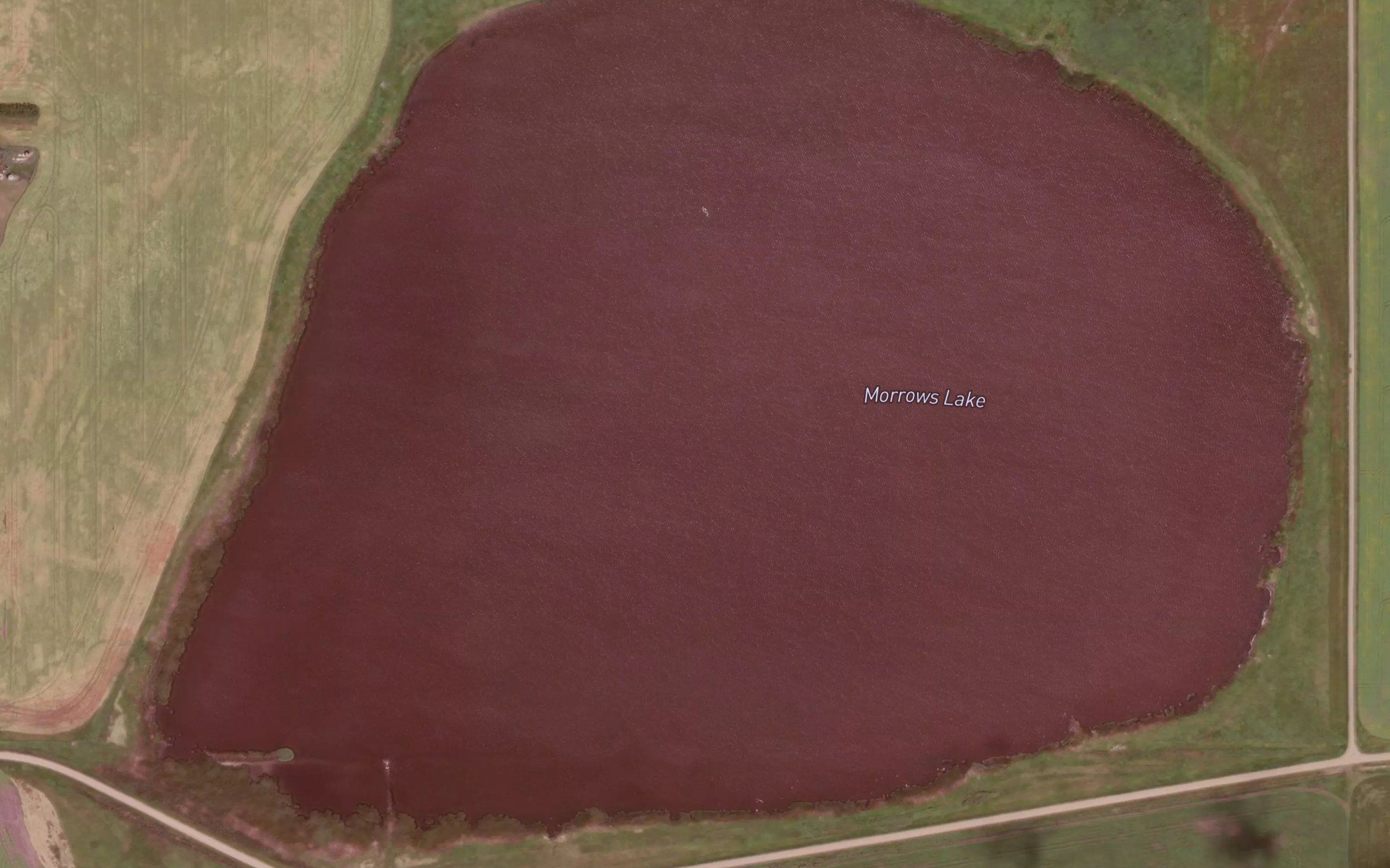 Morrows Lake