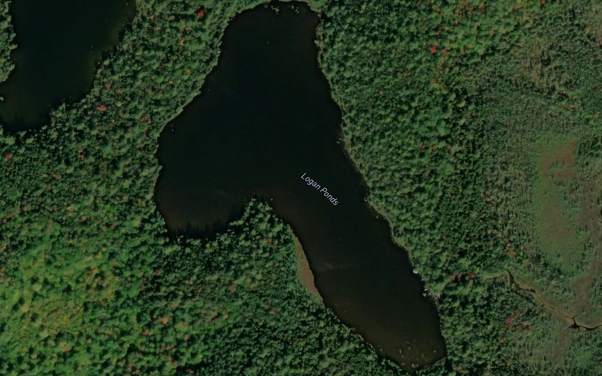 Logan Ponds