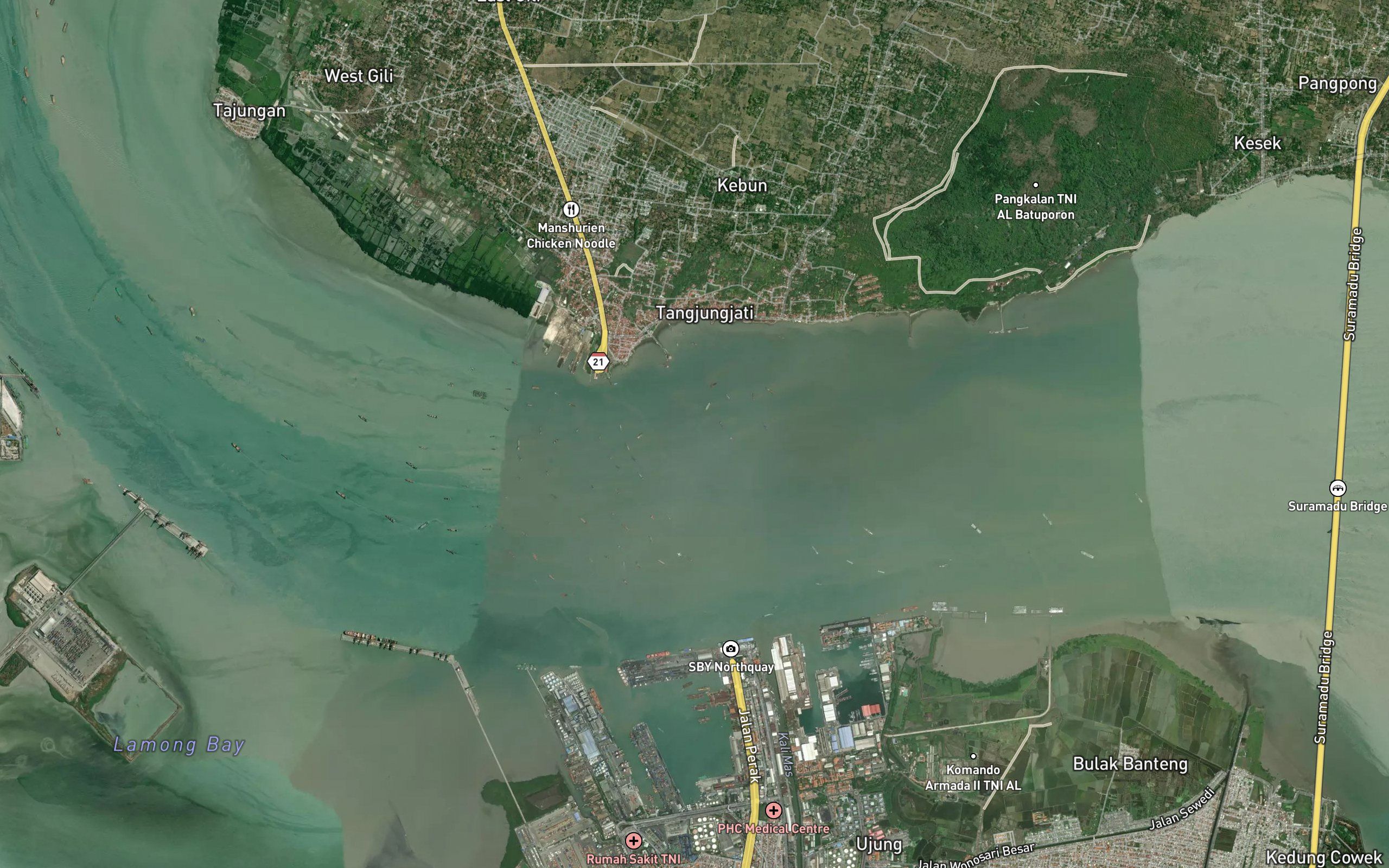 Karang Queen Olga