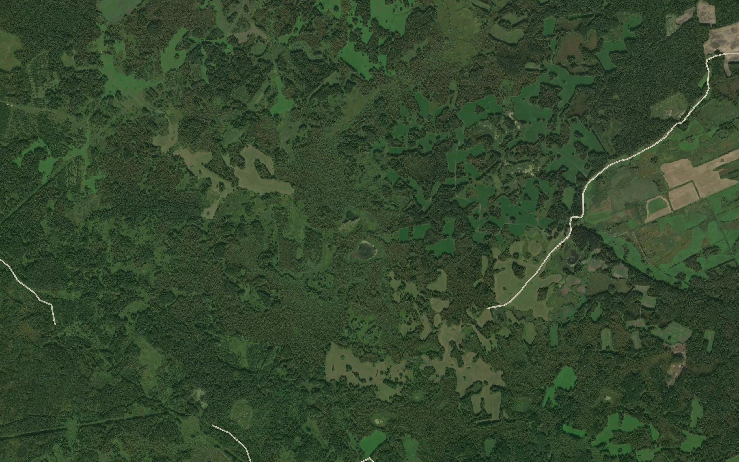 Ozero Krivoye