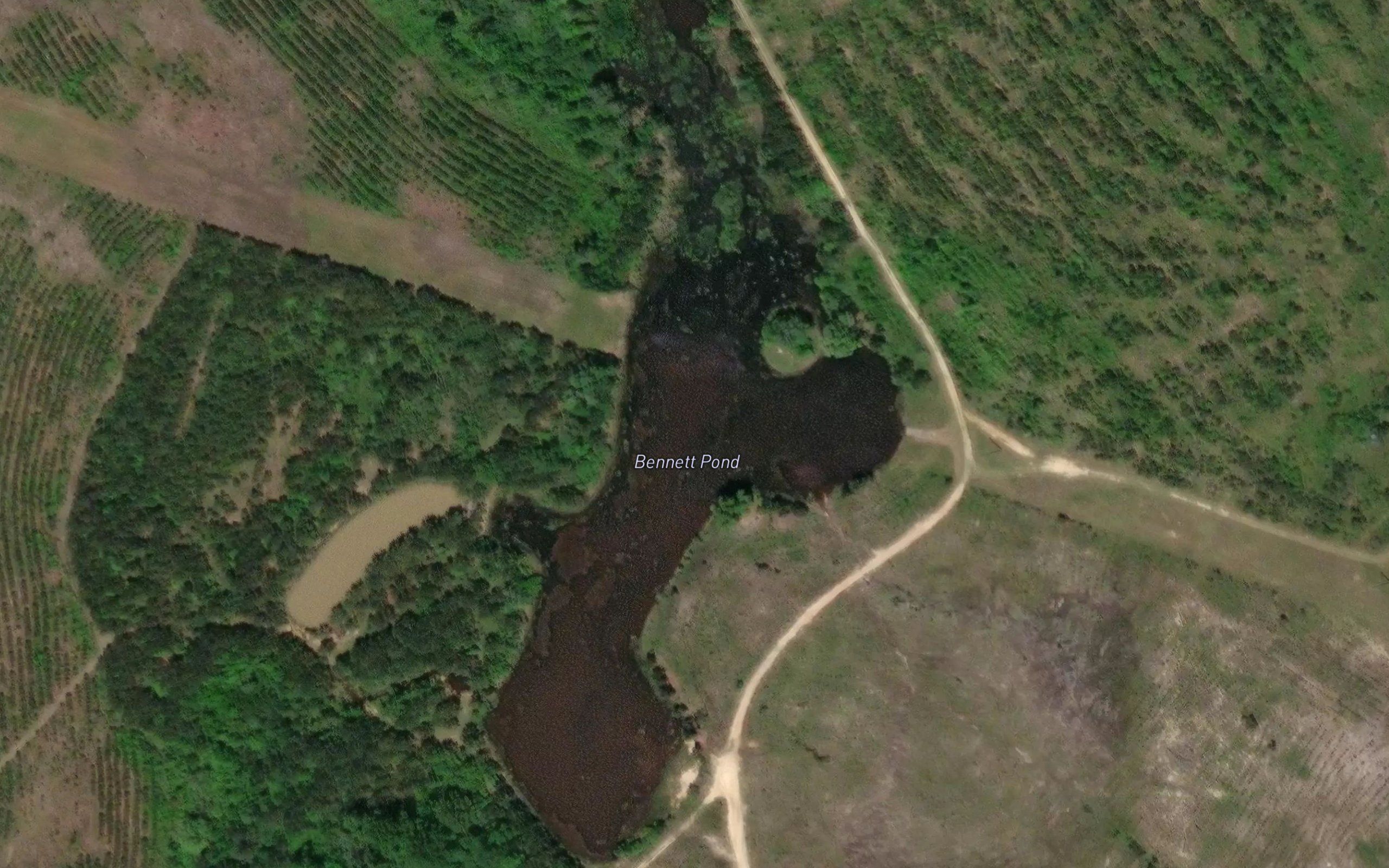 Bennett Pond