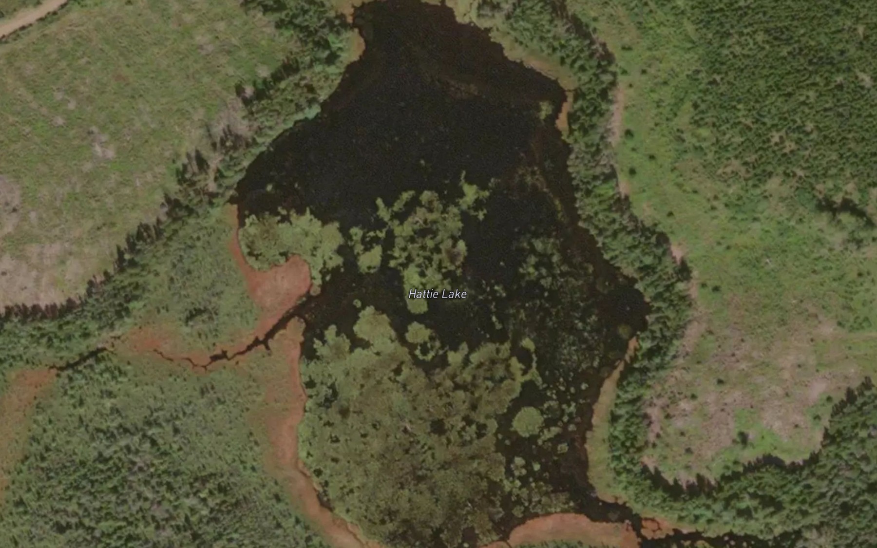 Satellite map of the Hattie Lake