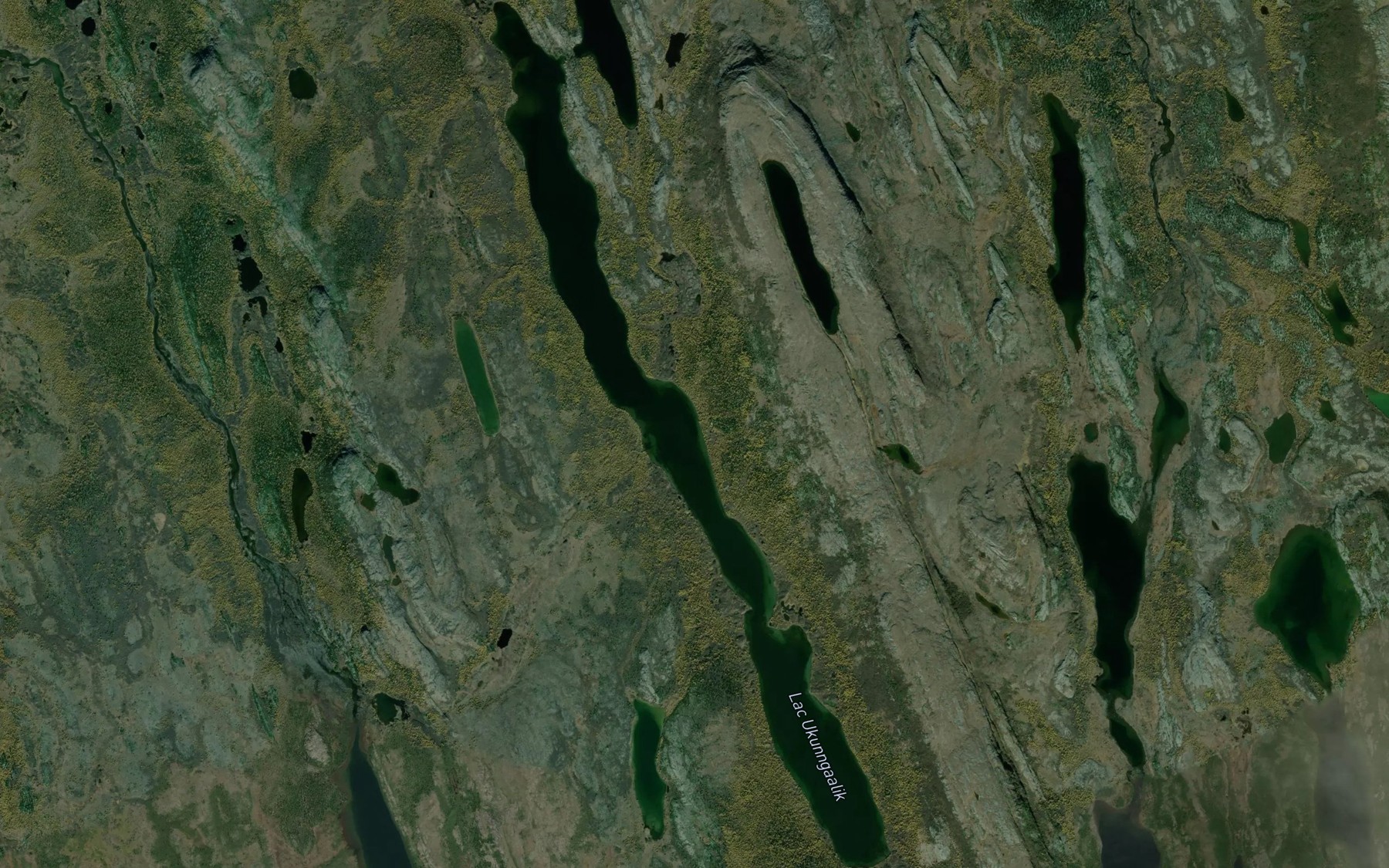 Satellite map of the Lac Ukunngaalik