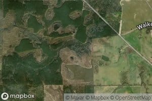 Sink of the Creek
