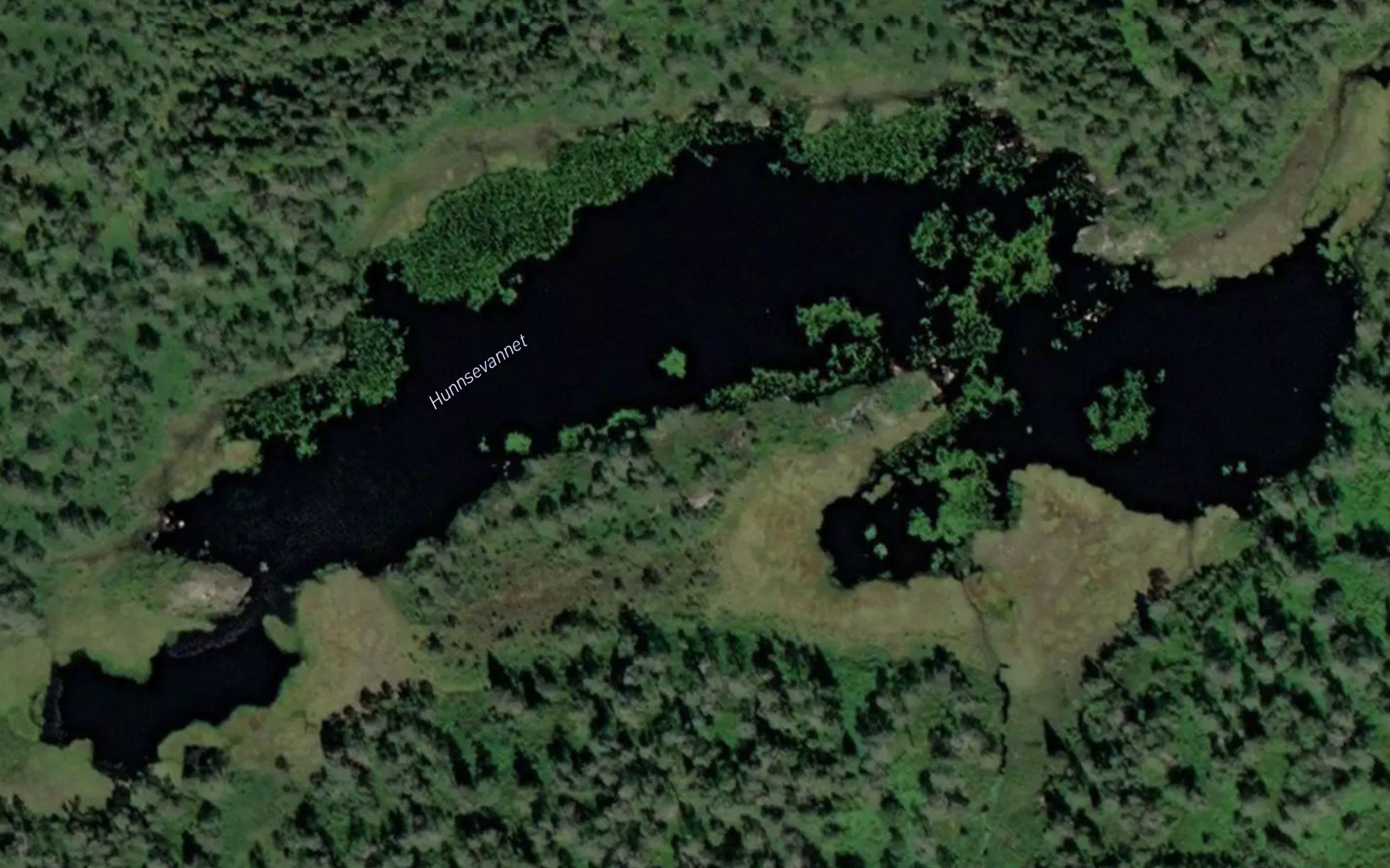 Hunnsevannet