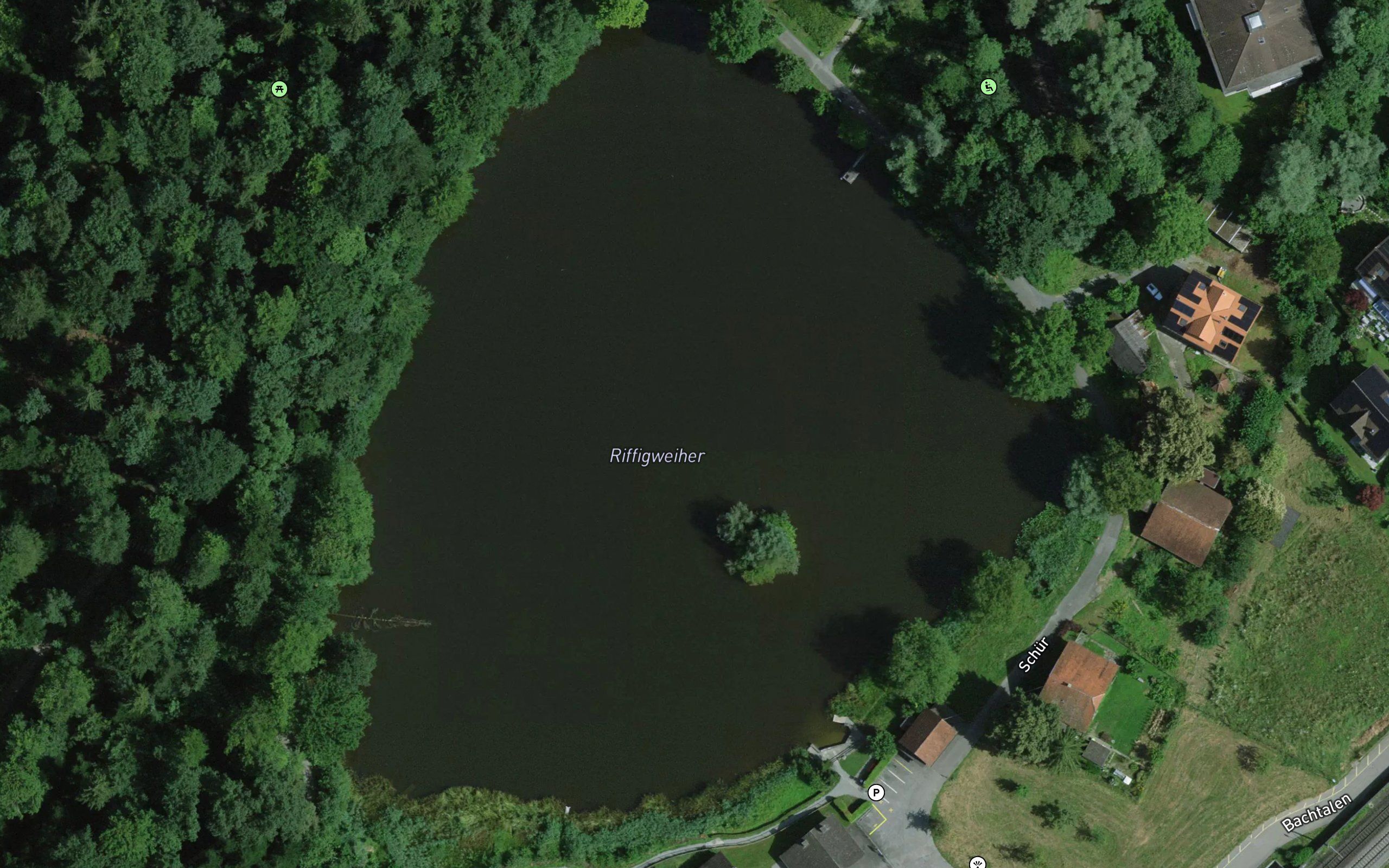 Riffigweier