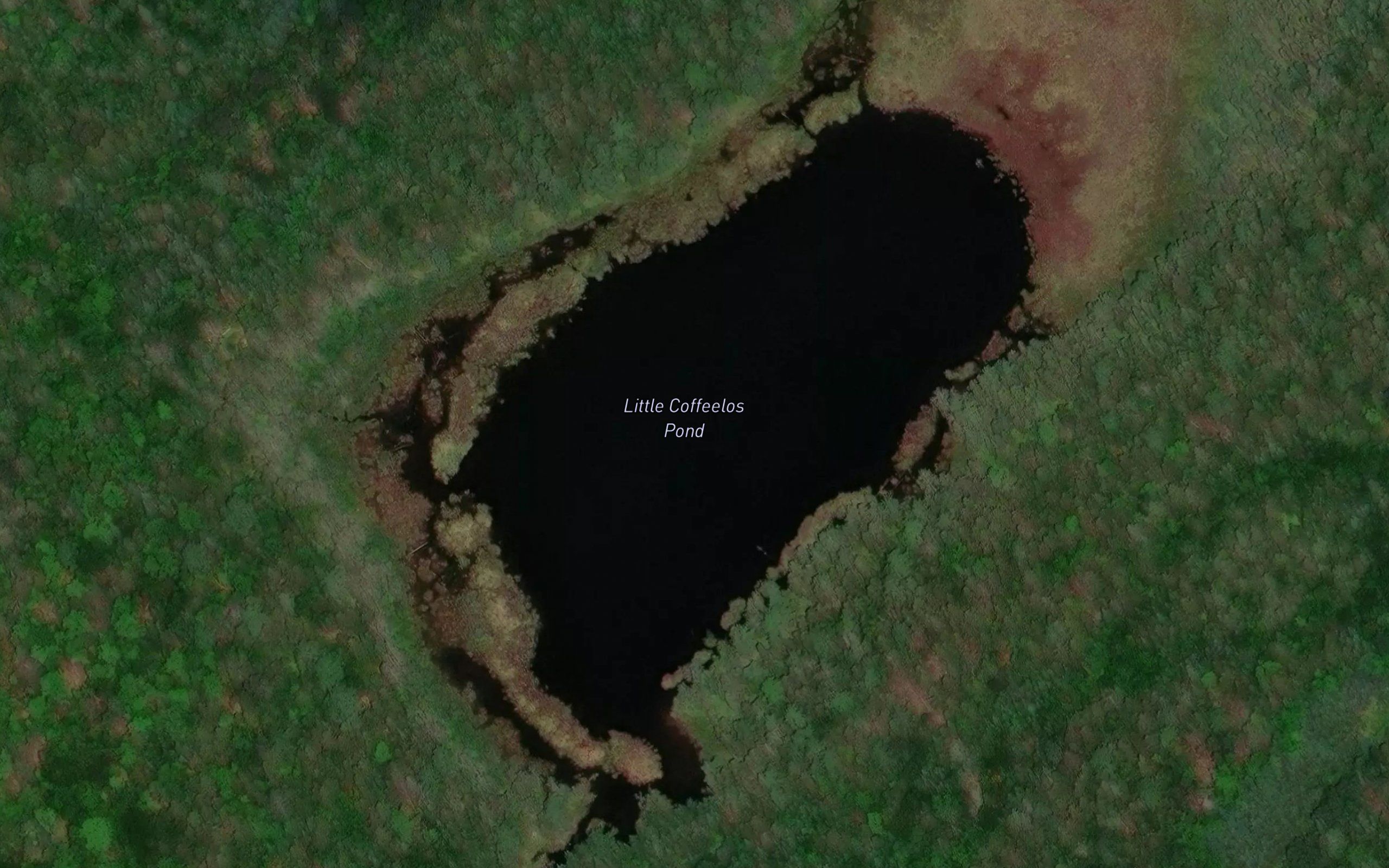 Little Coffeelos Pond
