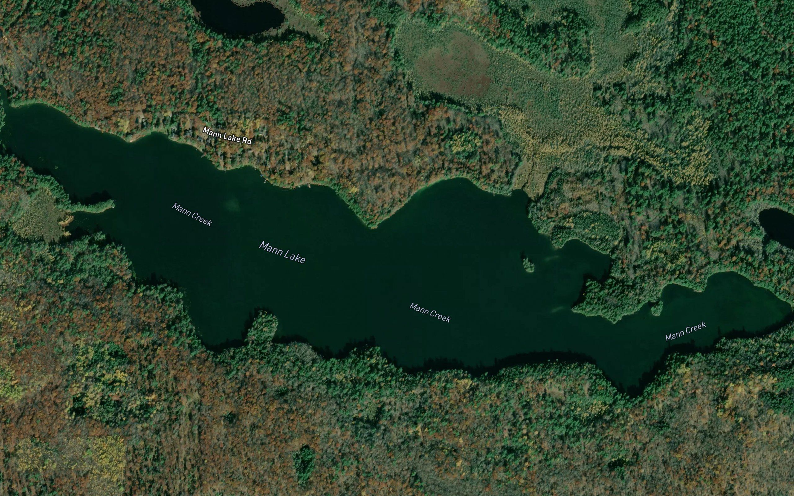 Mann Lake