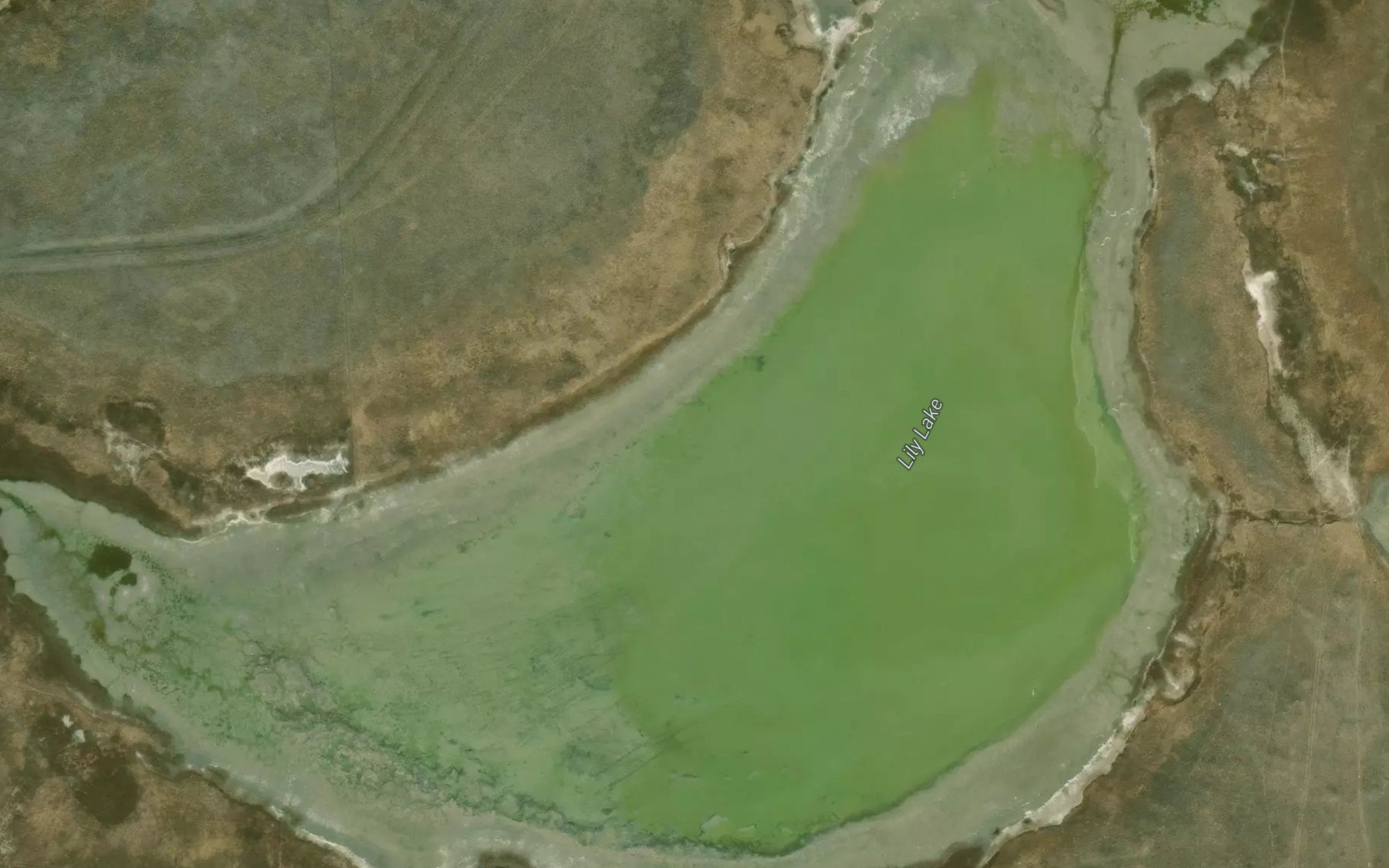 Satellite map of the Lily Lake