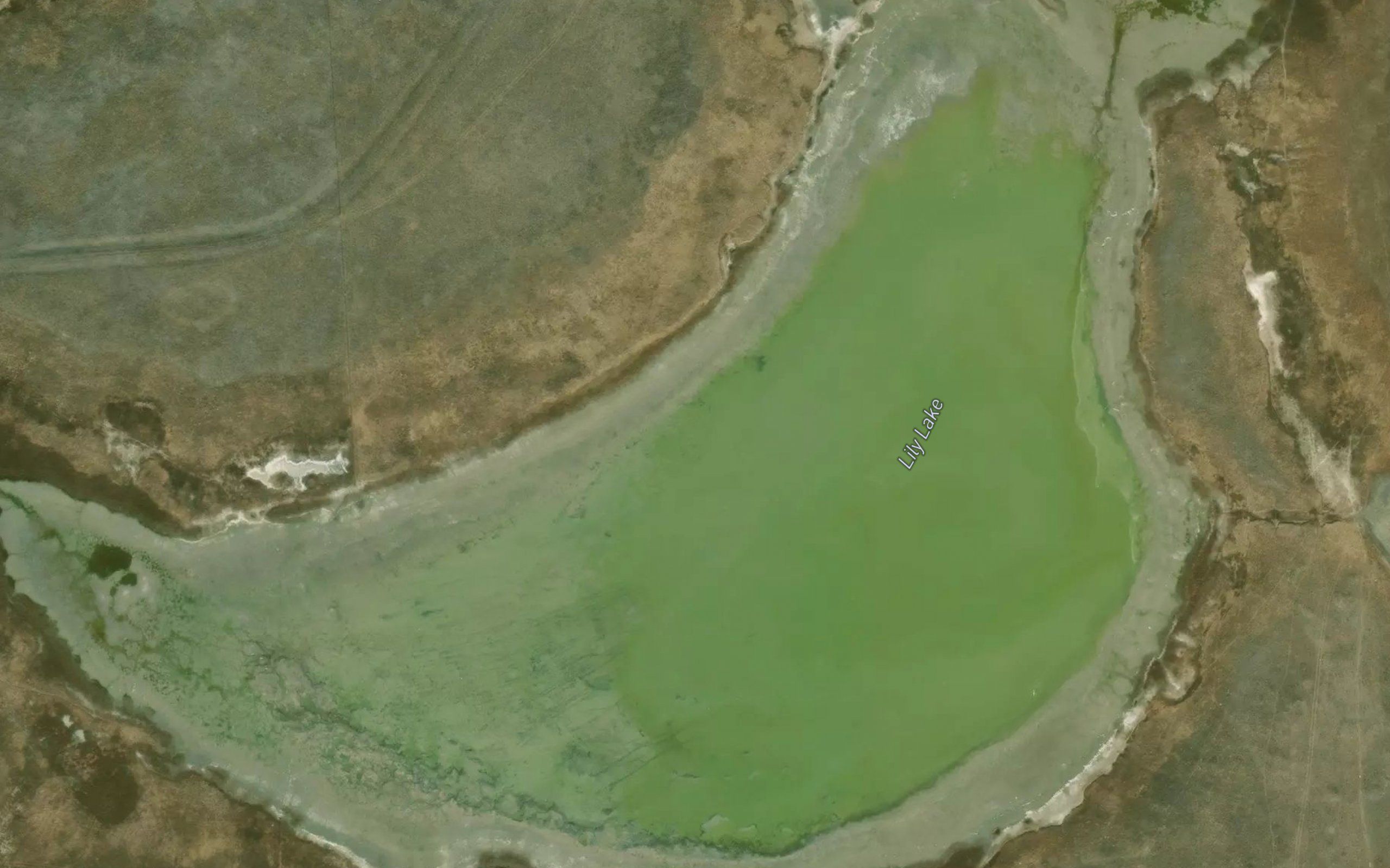 Lily Lake