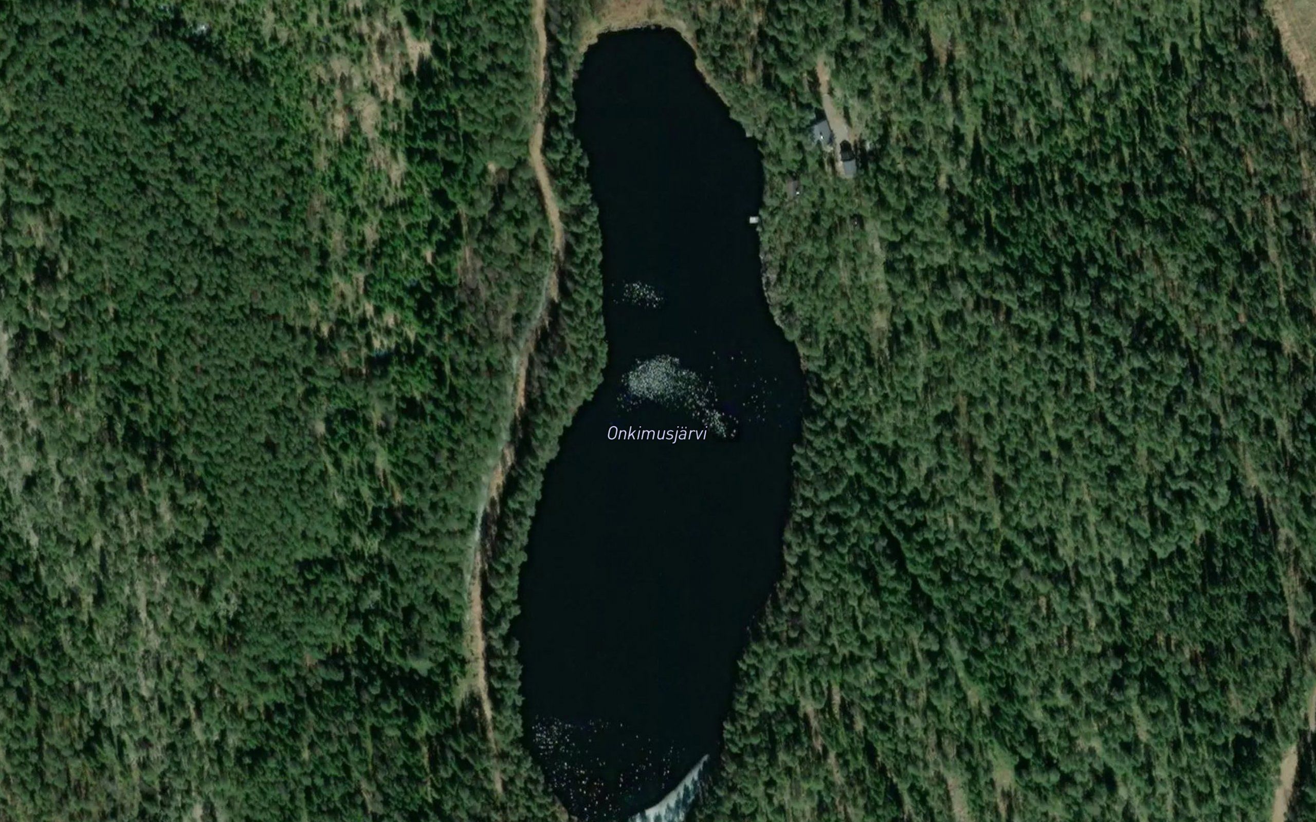 Onkimusjarvi