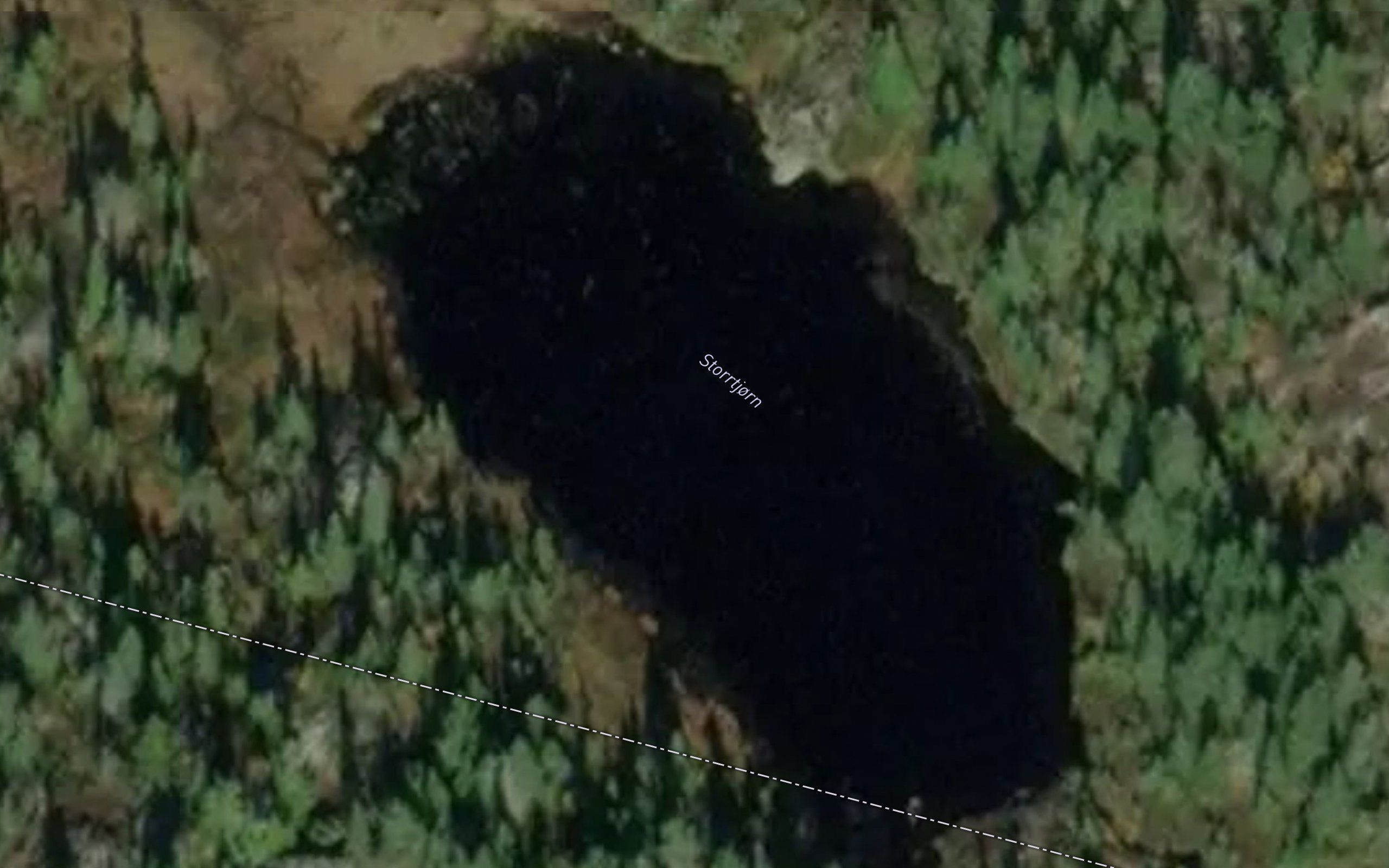 Storrtjorn