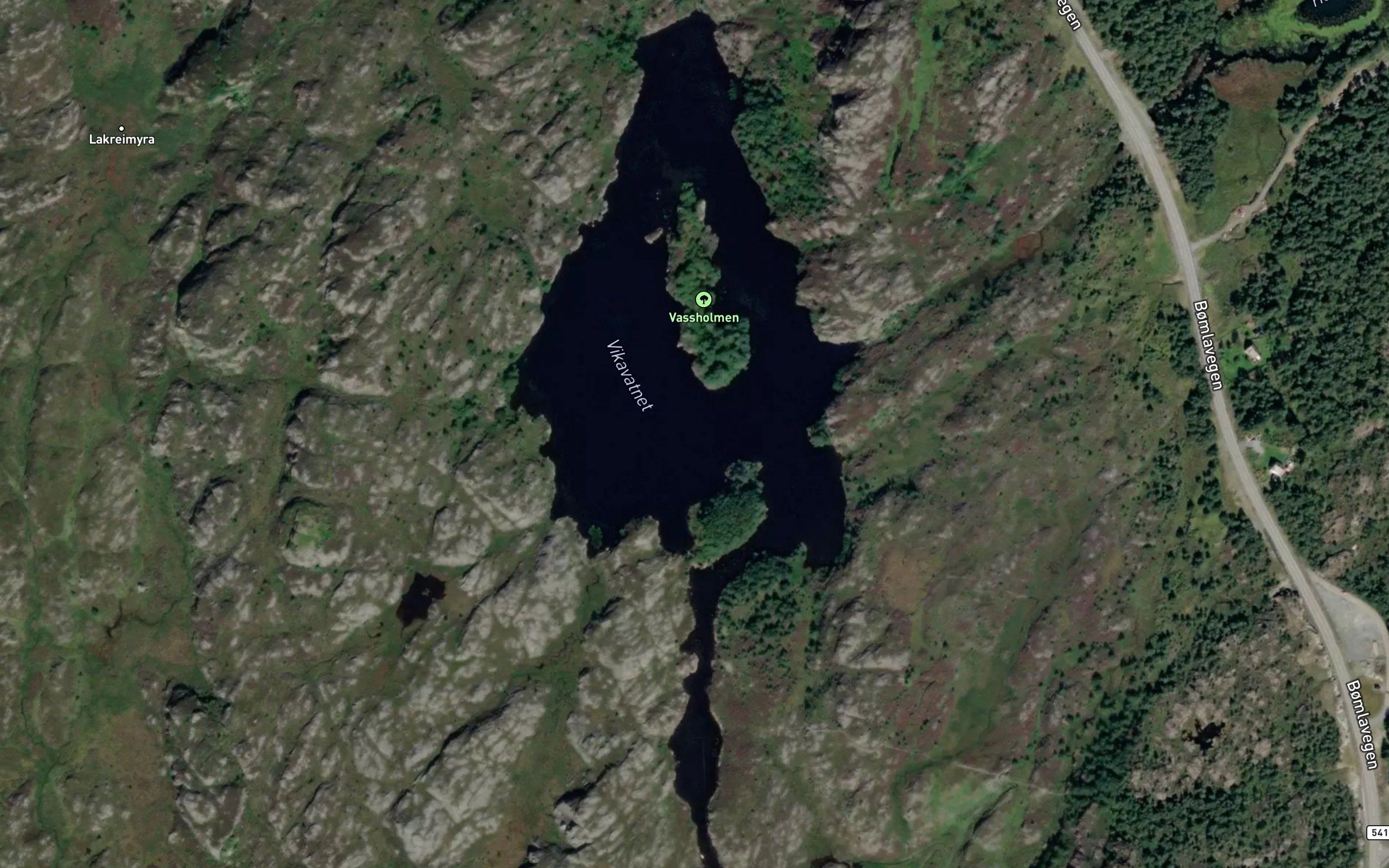 Vikavatnet
