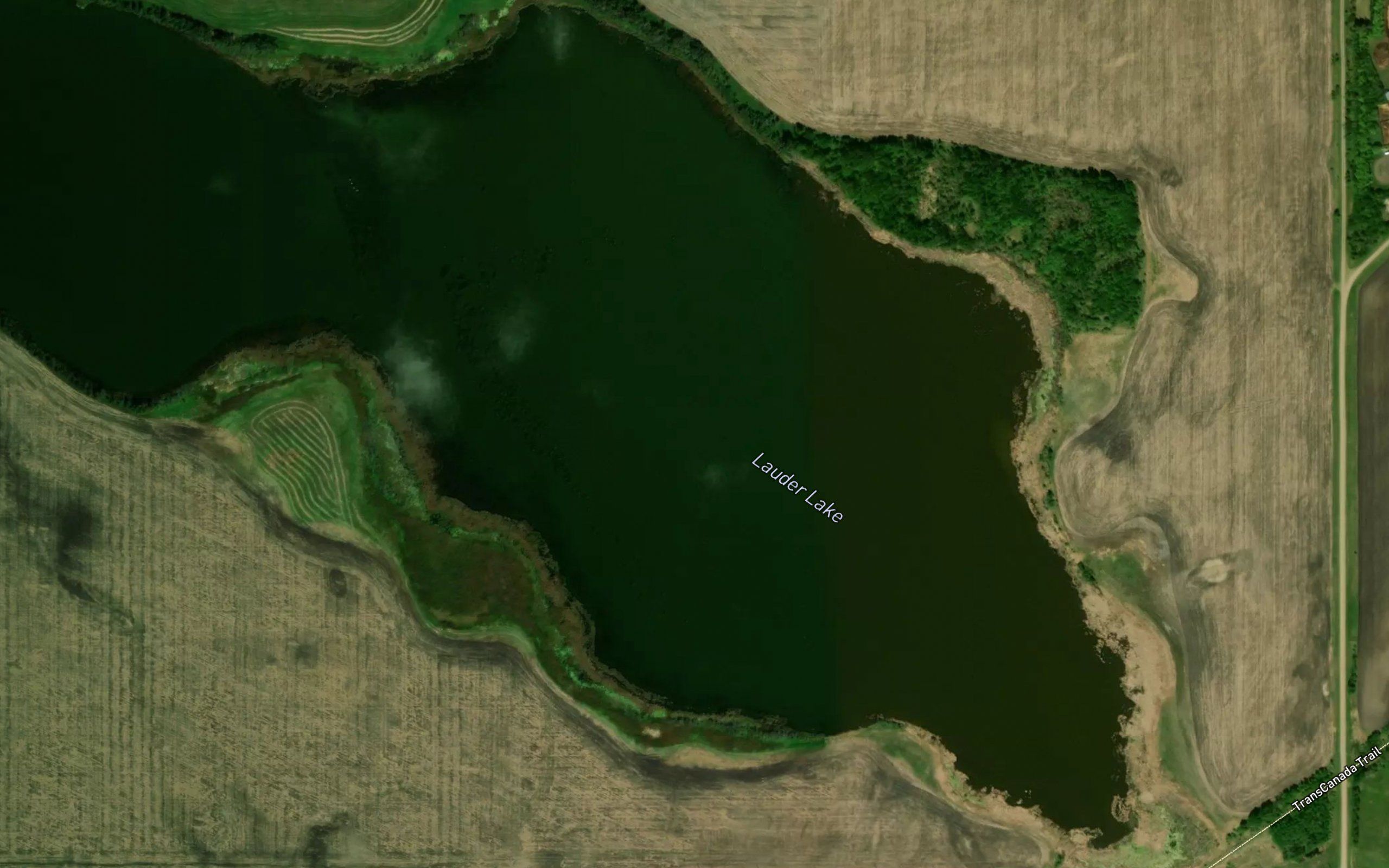 Lauder Lake