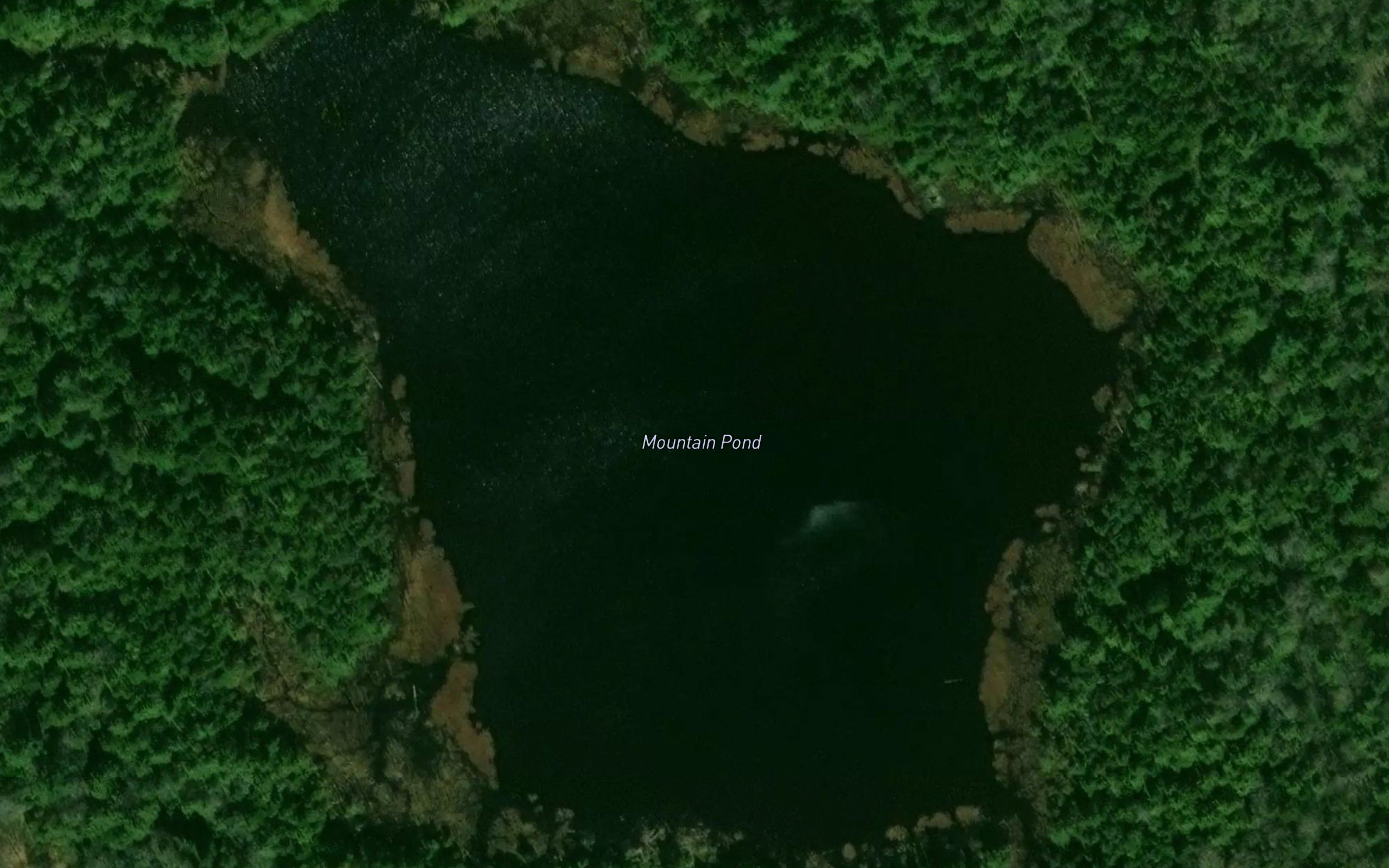Mountain Pond