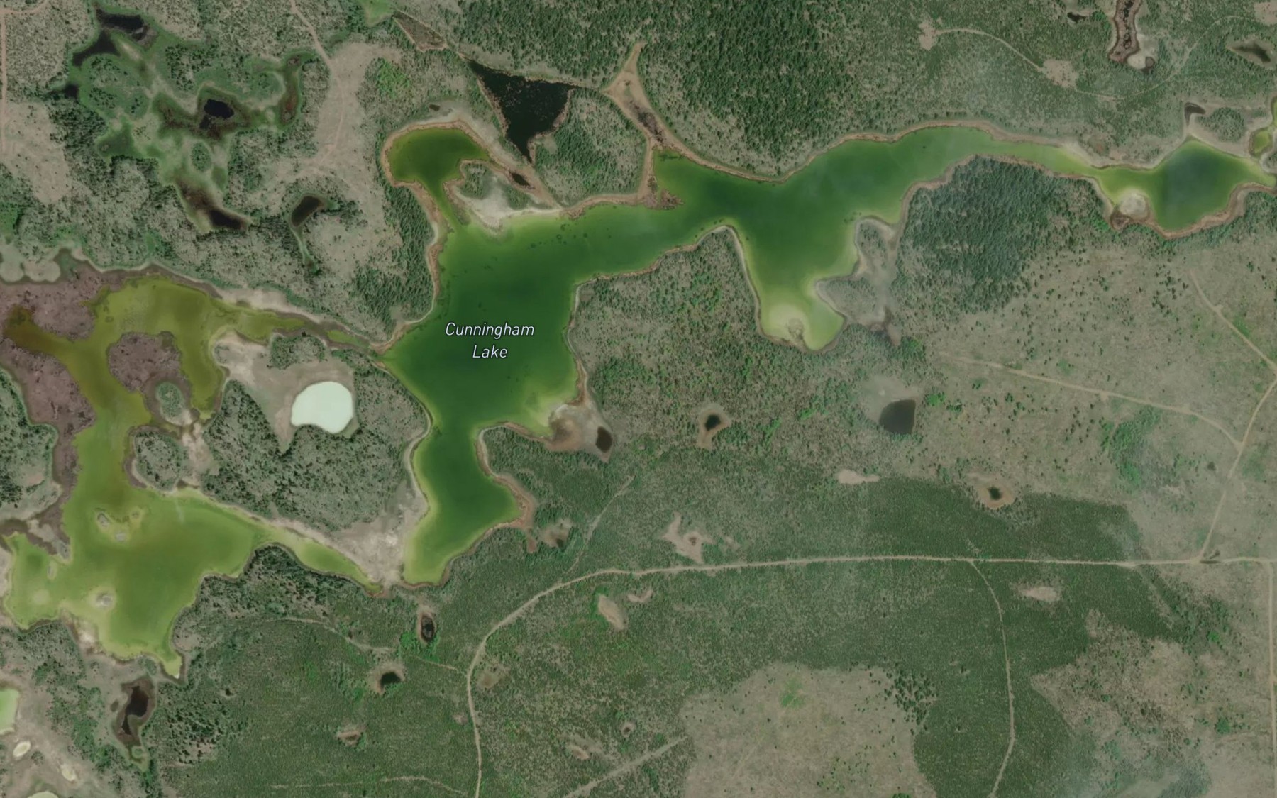 Satellite map of the Cunningham Lake