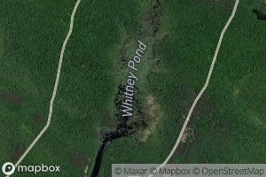 Whitney Pond