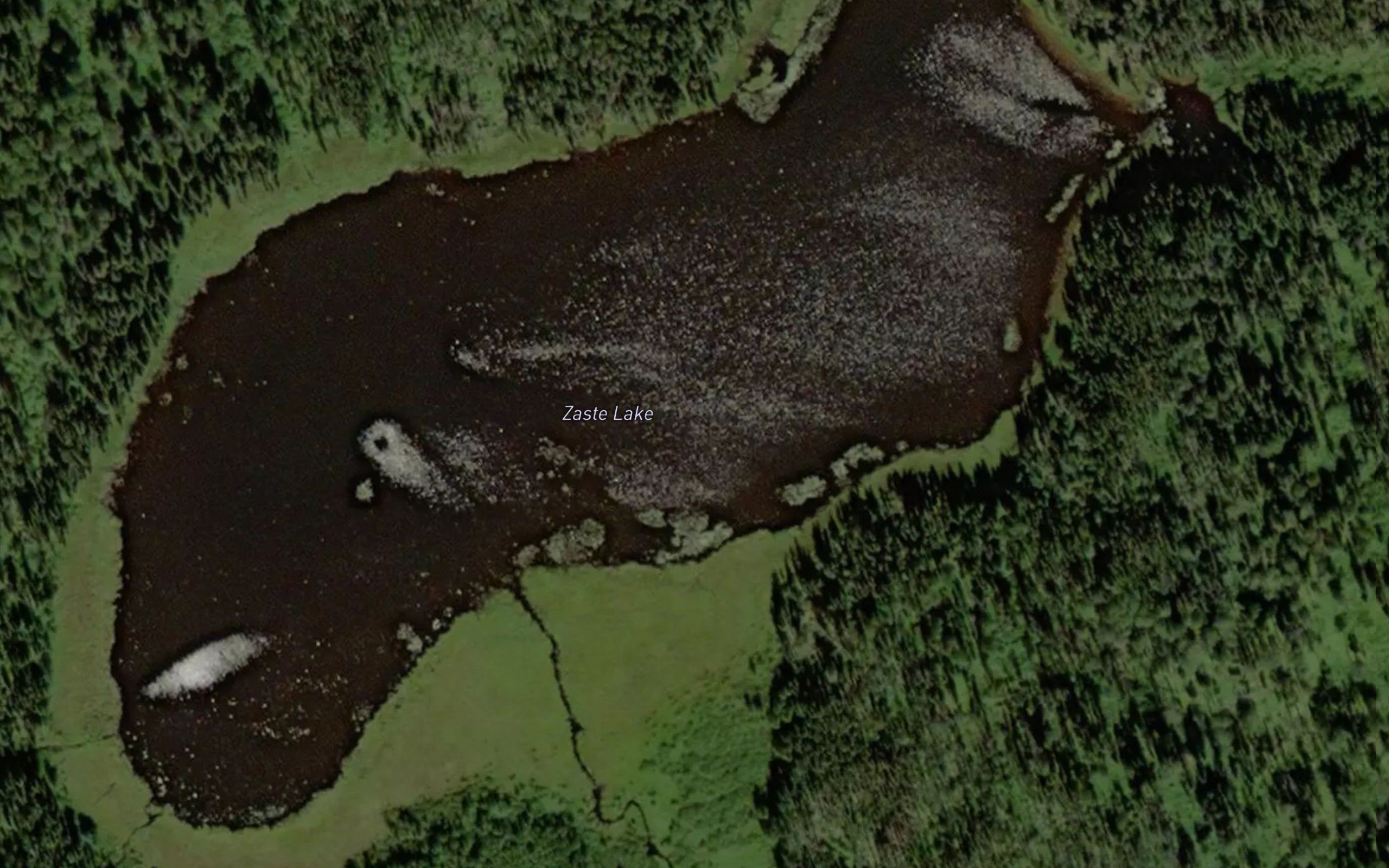 Zaste Lake