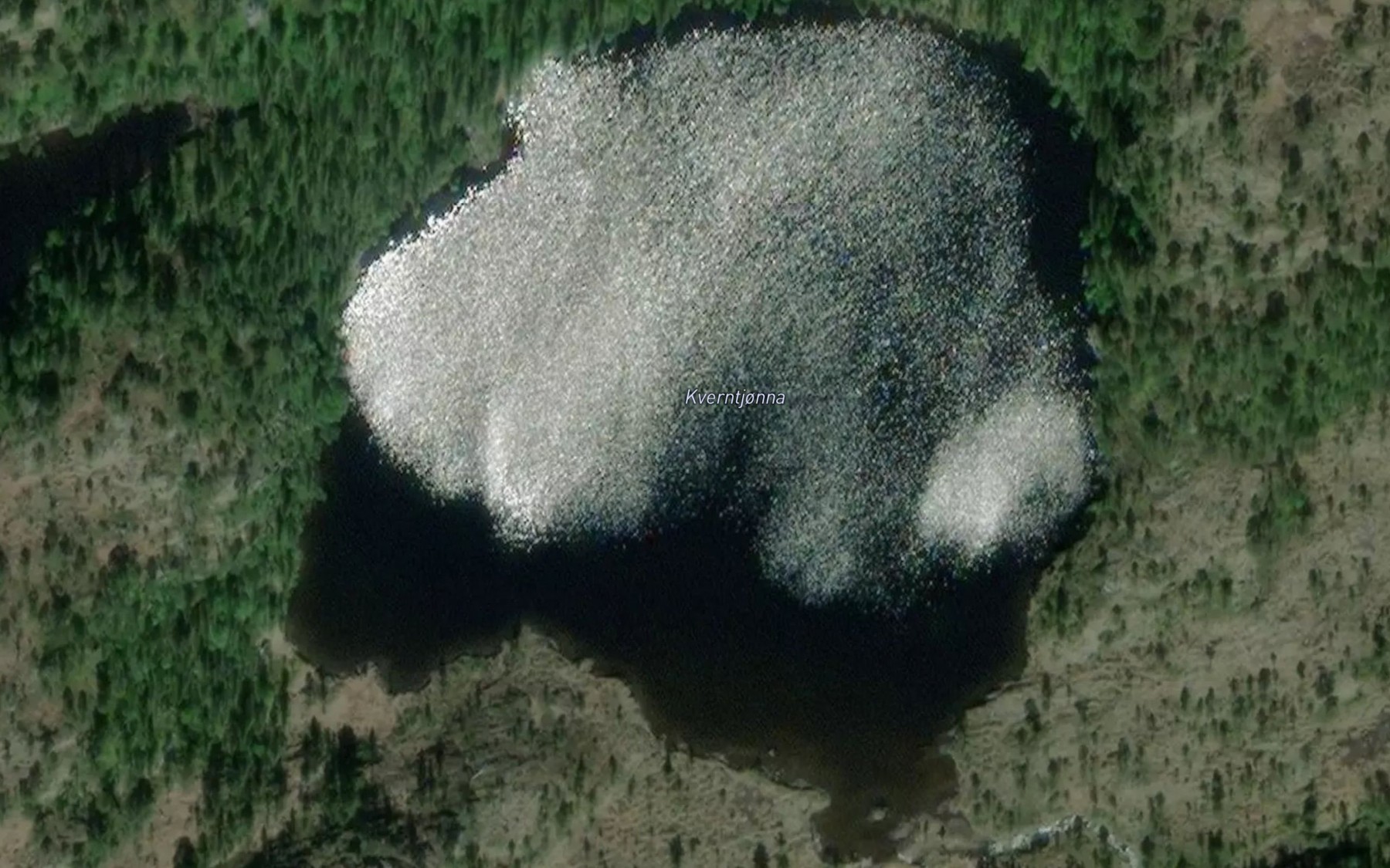 Satellite map of the Kverntjorna