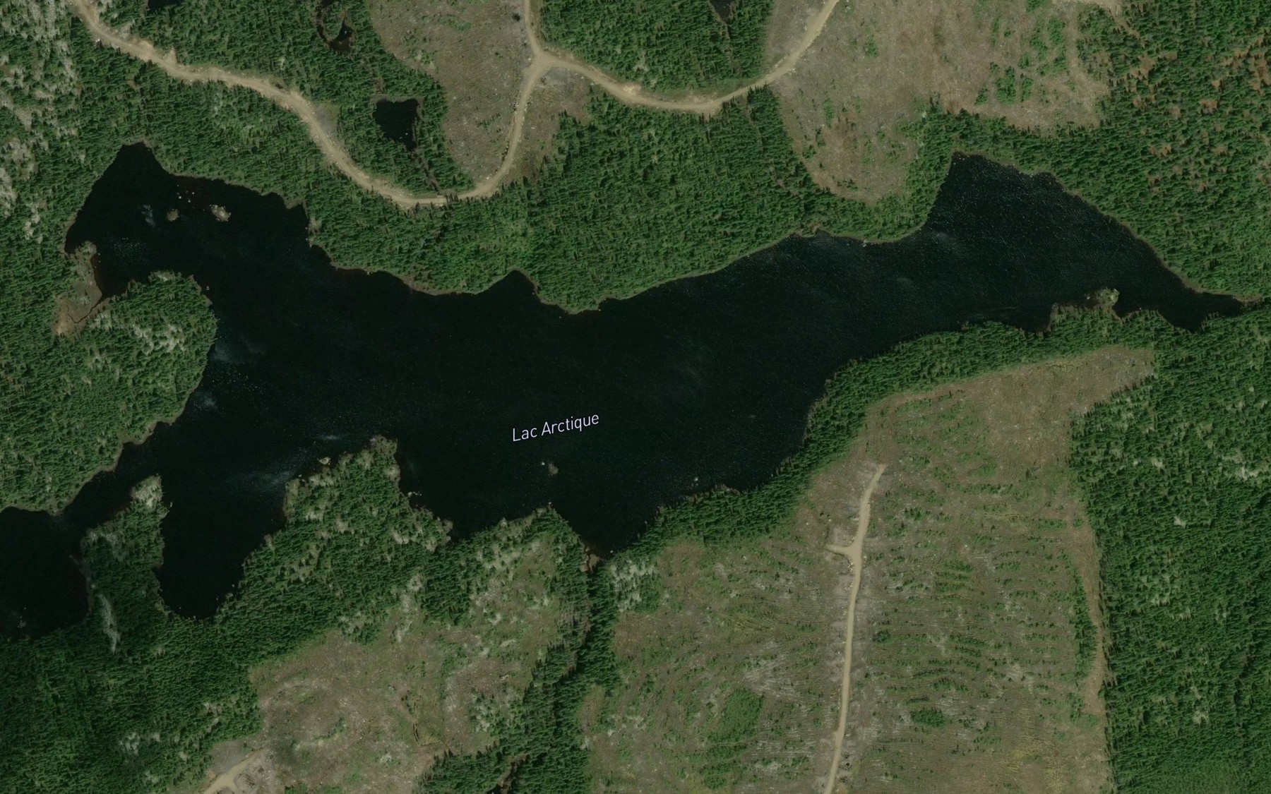 Satellite map of the Lac Arctique