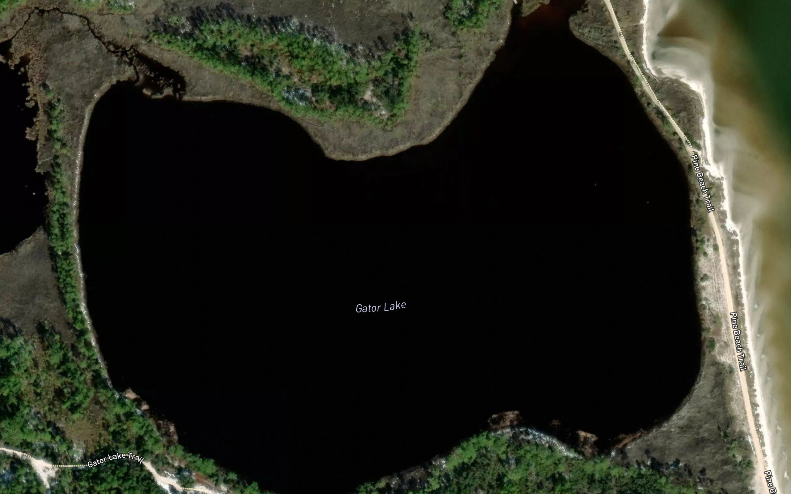 Gator Lake