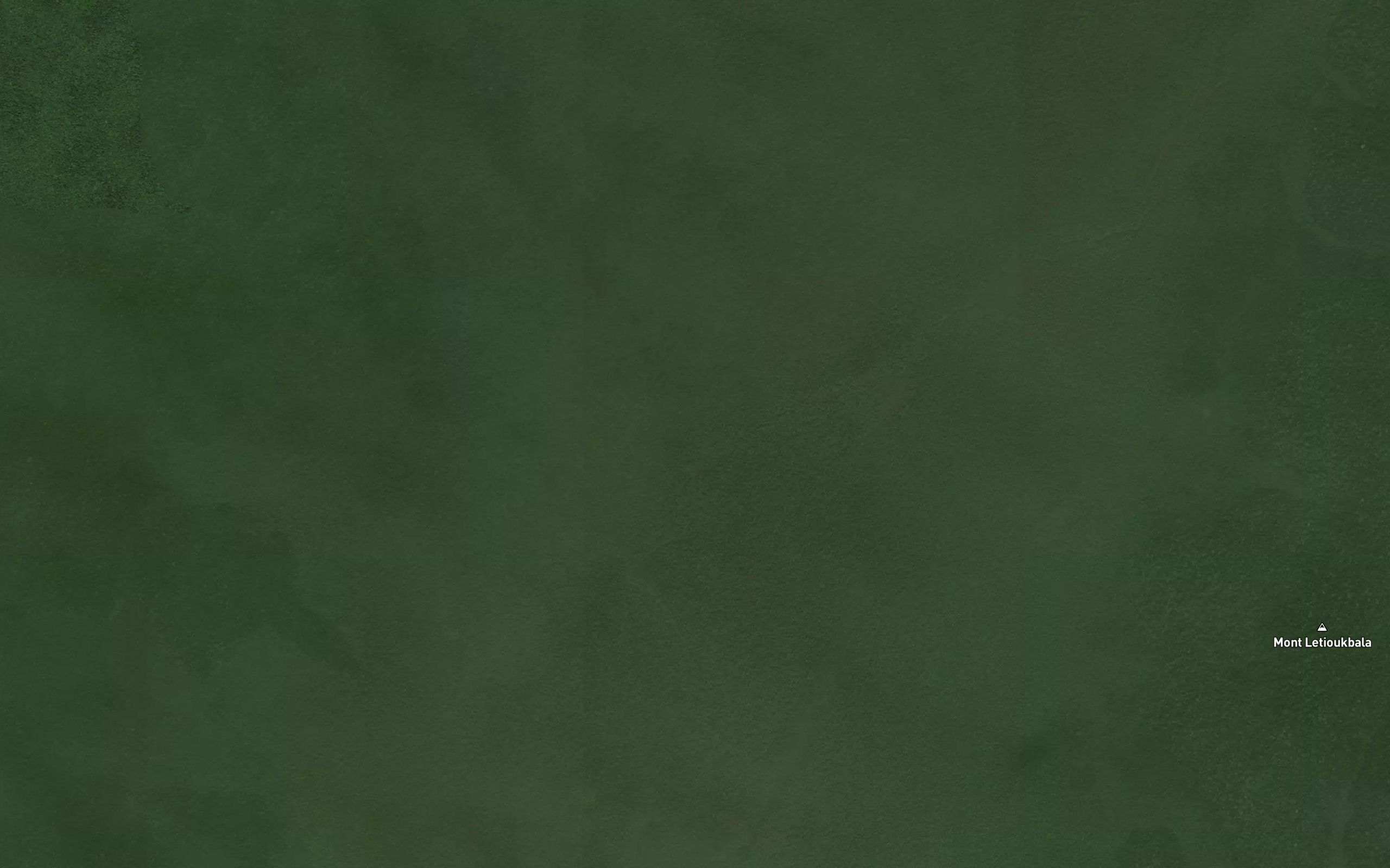 Bongo