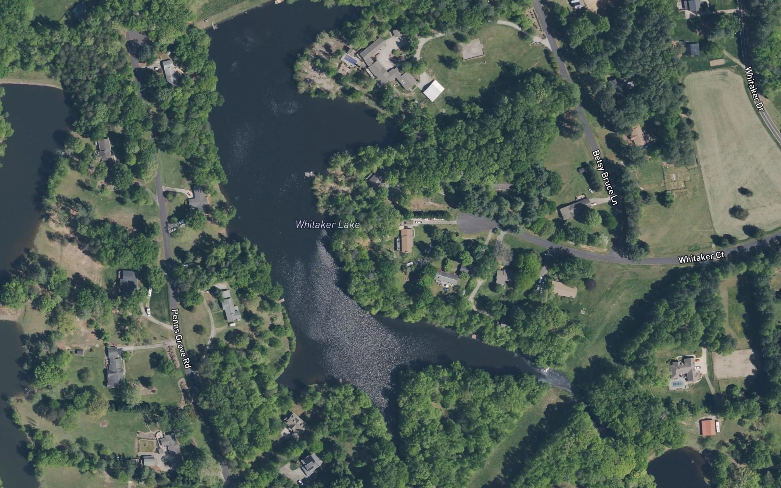 Whitaker Lake