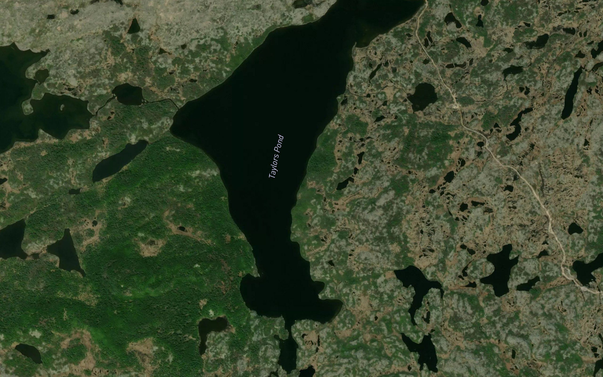 Taylors Pond