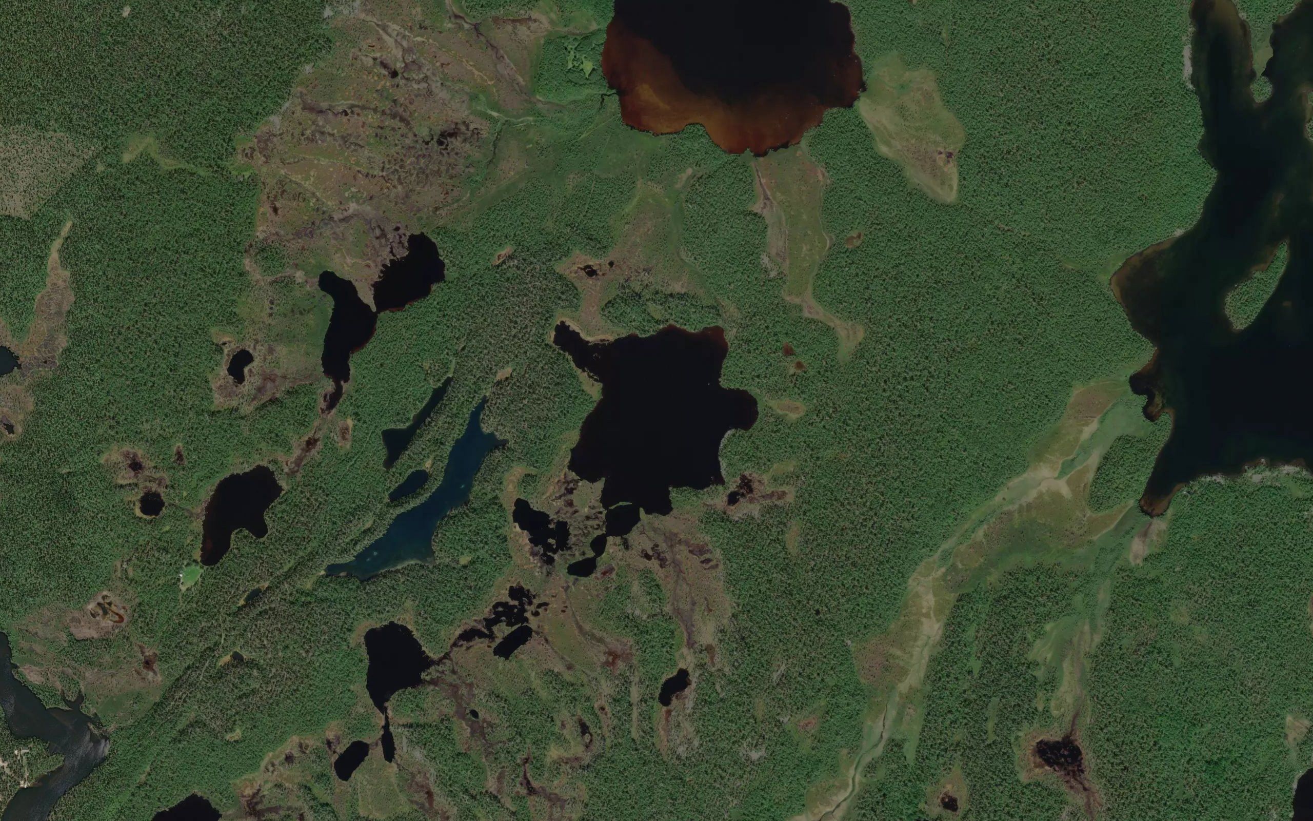 Kaldeejavri
