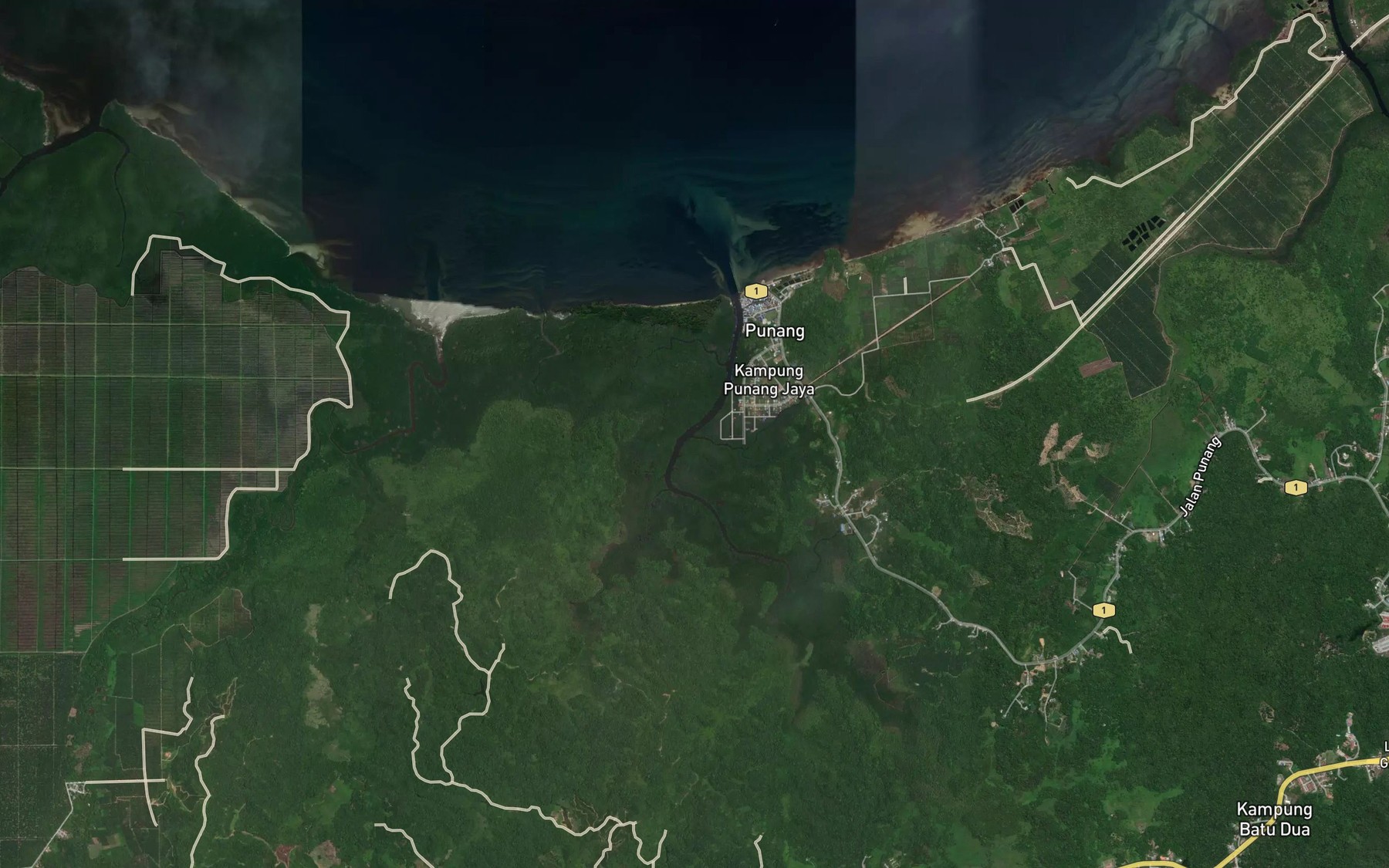 Satellite map of the Sungai Panjang