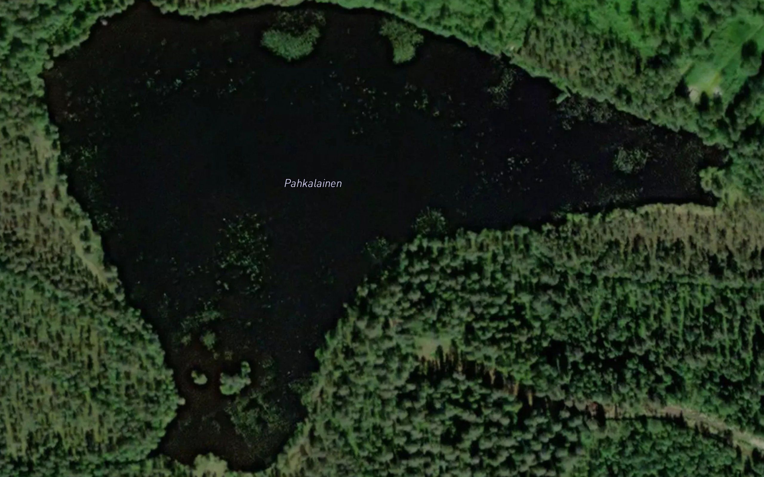 Pahkalainen