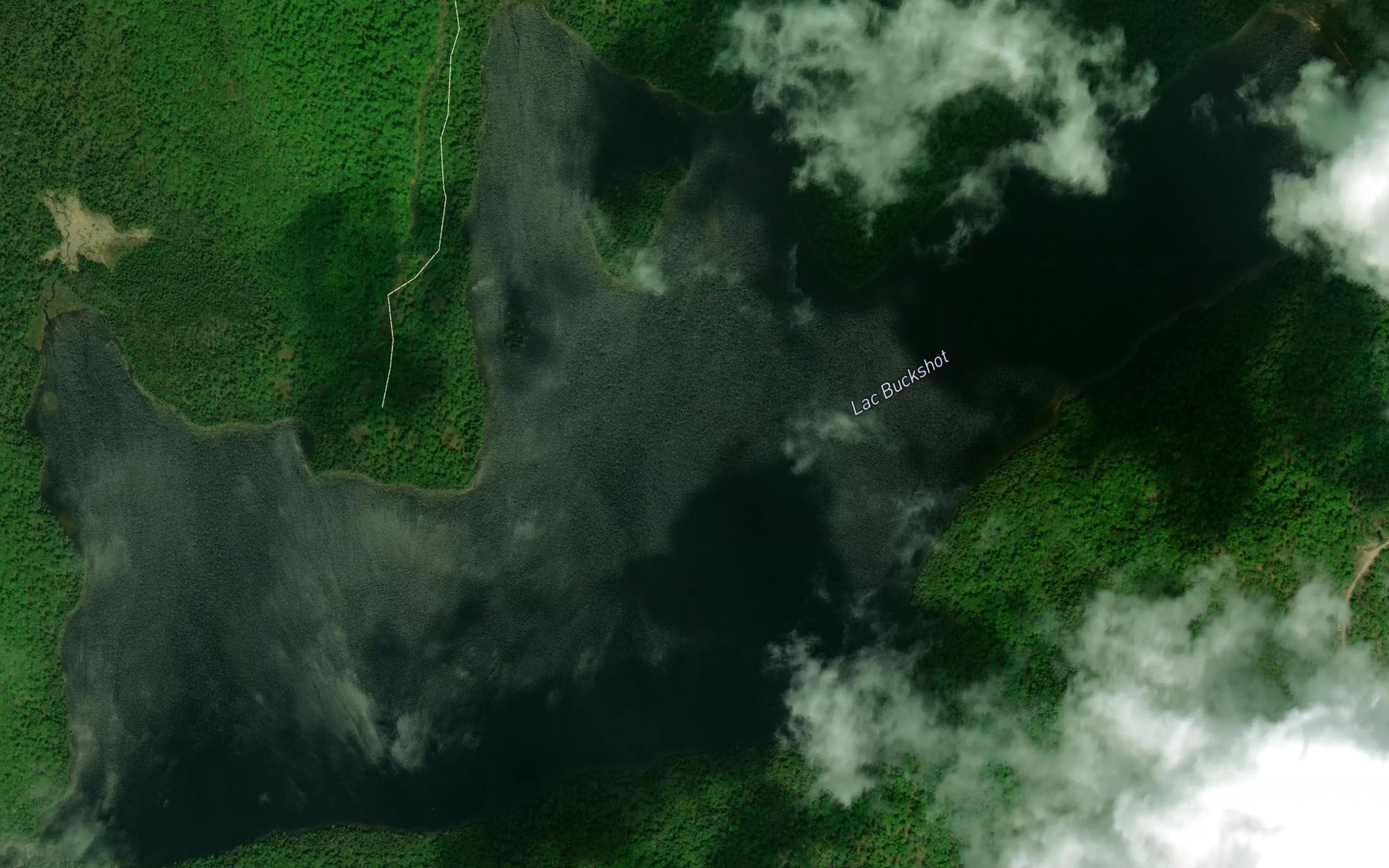 Satellite map of the Lac Buckshot