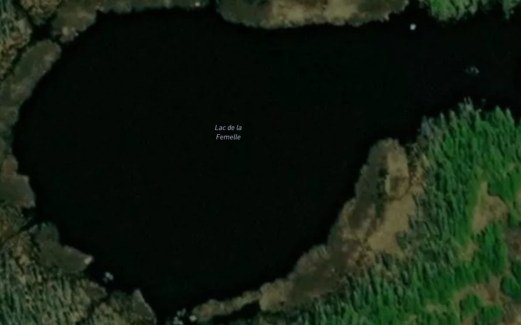 Satellite map of the Lac de la Femelle