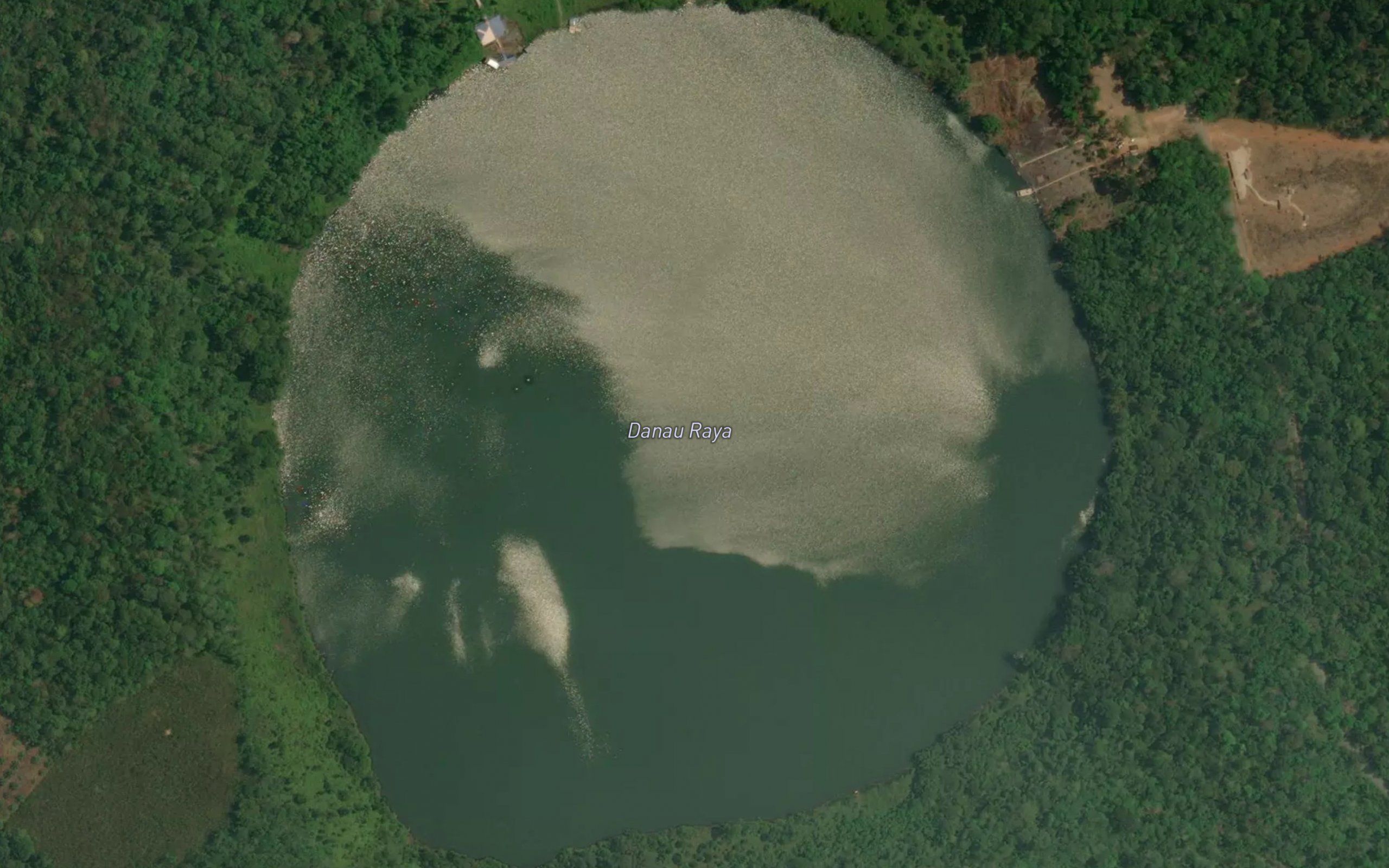 Danau Raya